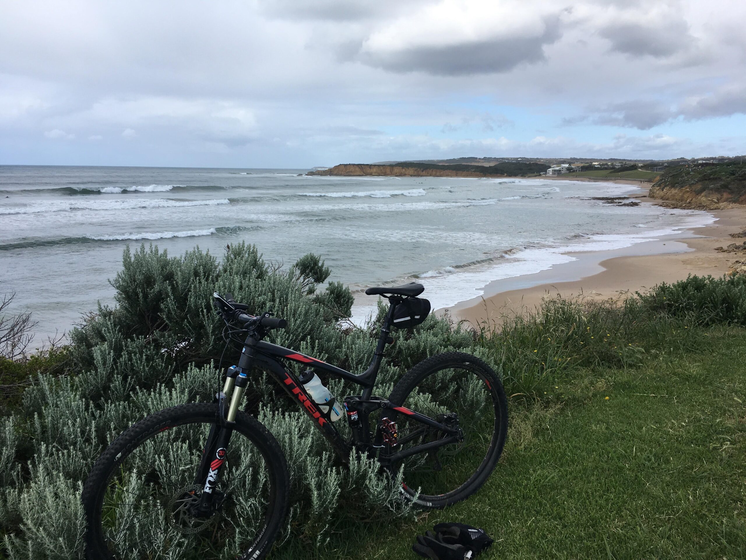 Trek Trek fuel ex8 29: A mountain bike rests against a bush on a grassy area overlooking a beach. In the background, waves crash on the shore under a cloudy sky, with cliffs visible in the distance.