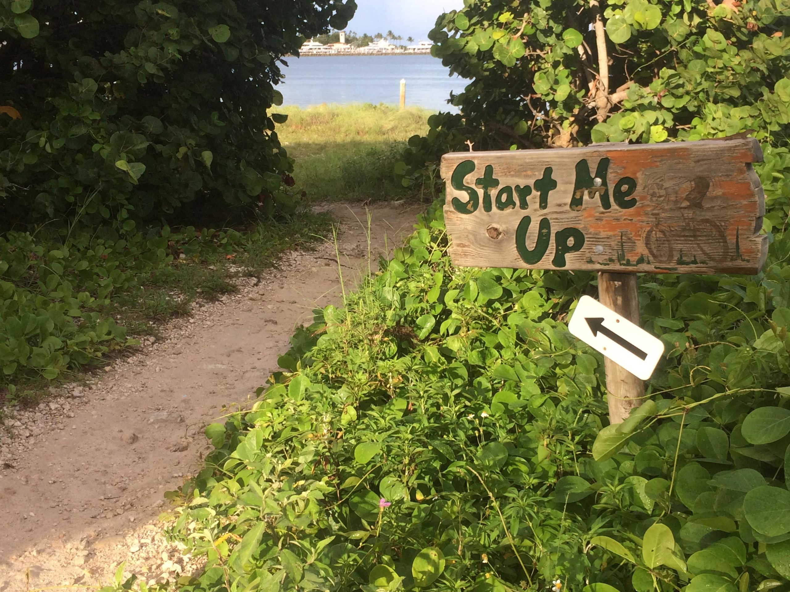 A sandy path leads through lush green vegetation, with a wooden sign on the right that reads "Start Me Up" in green paint. An arrow points to the right, hinting at the direction to follow toward a nearby body of water. Virginia Key North Point mountain bike trail.