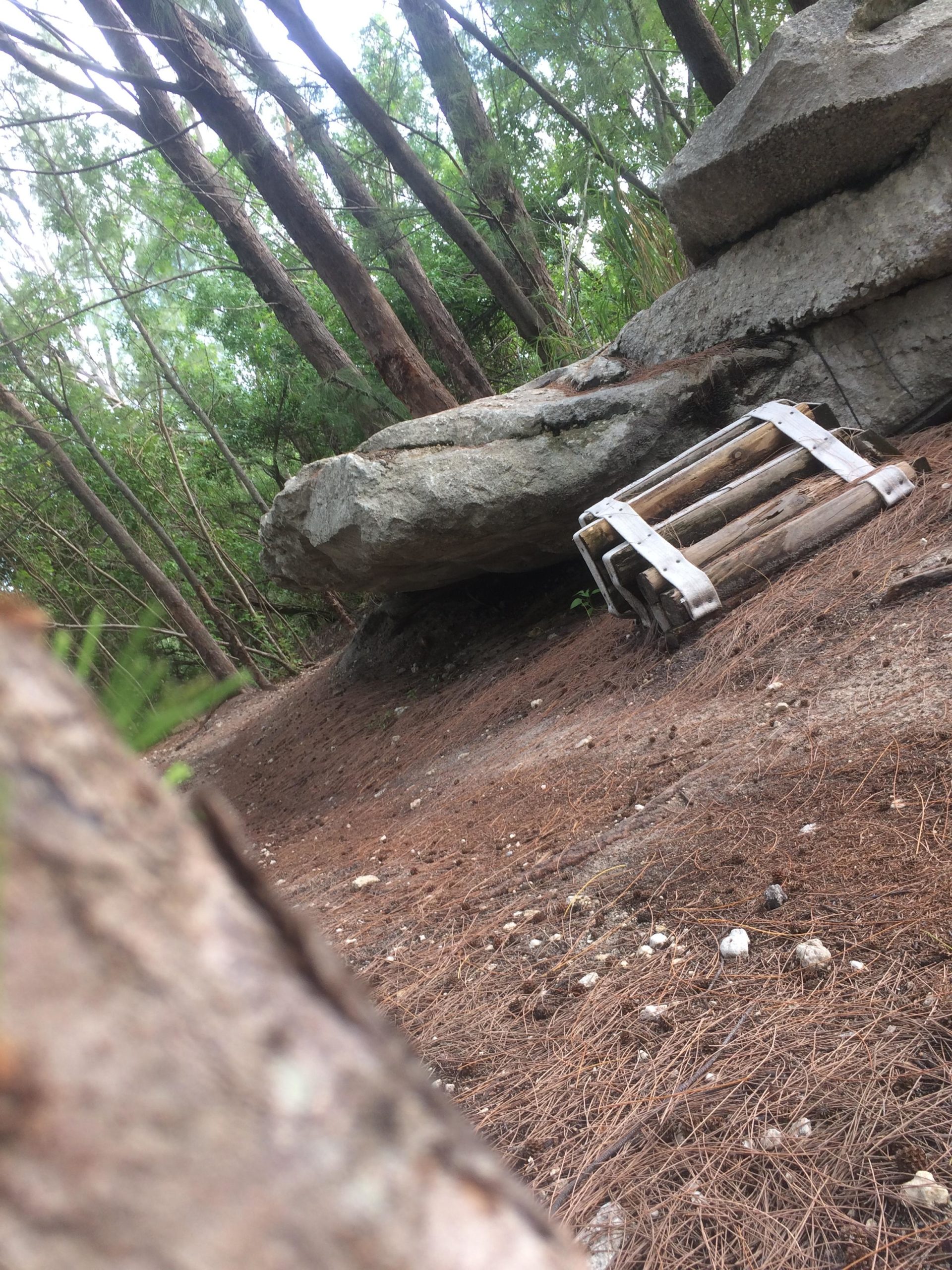 A rocky outcrop in a forested area, with a wooden structure partially visible in the foreground, surrounded by pine needles and trees. Virginia Key North Point mountain bike trail.