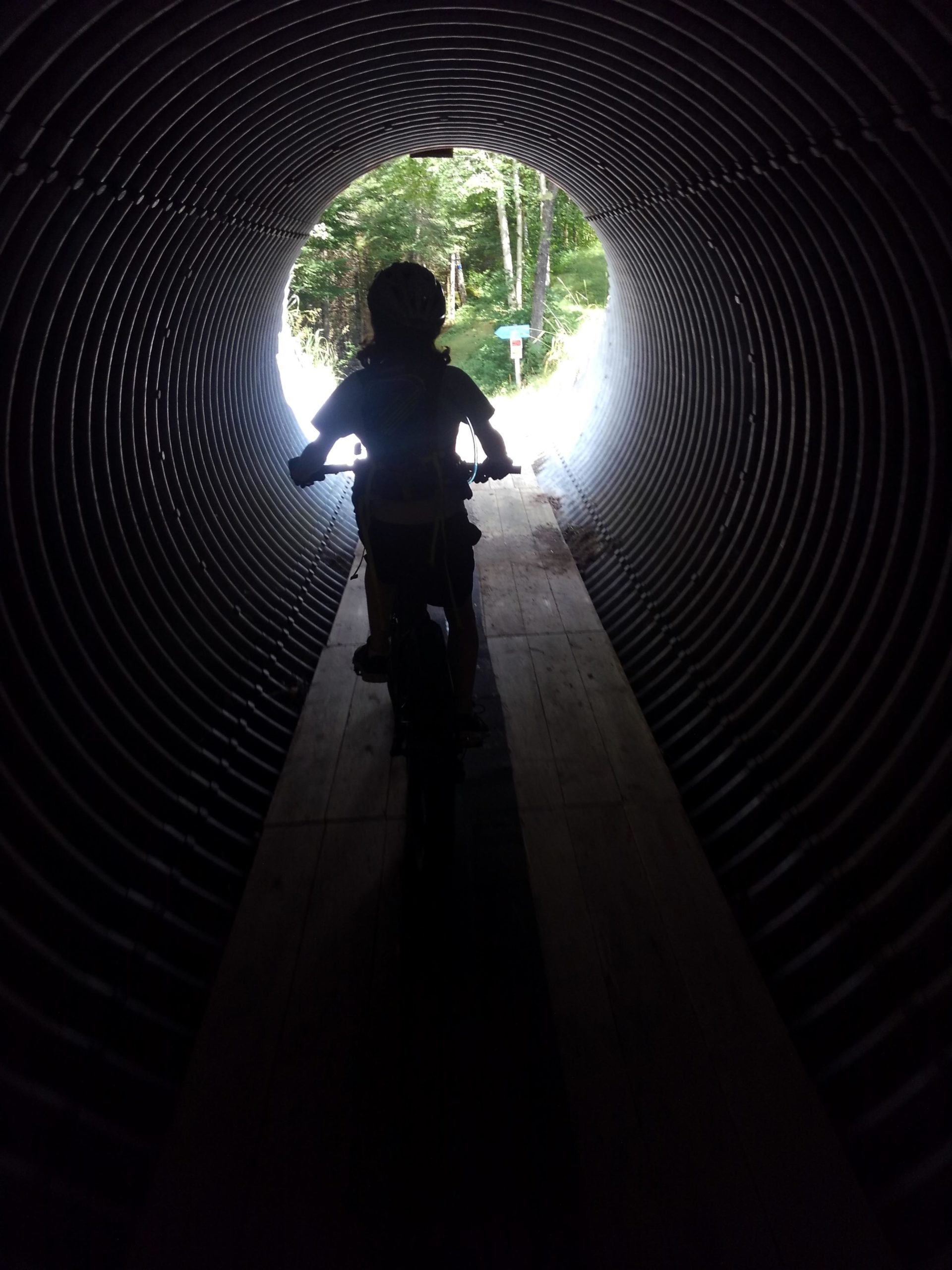 A silhouette of a child riding a bicycle through a tunnel, with light shining at the end, surrounded by trees and greenery outside the tunnel. Mount Van Hoevenberg mountain bike trail.