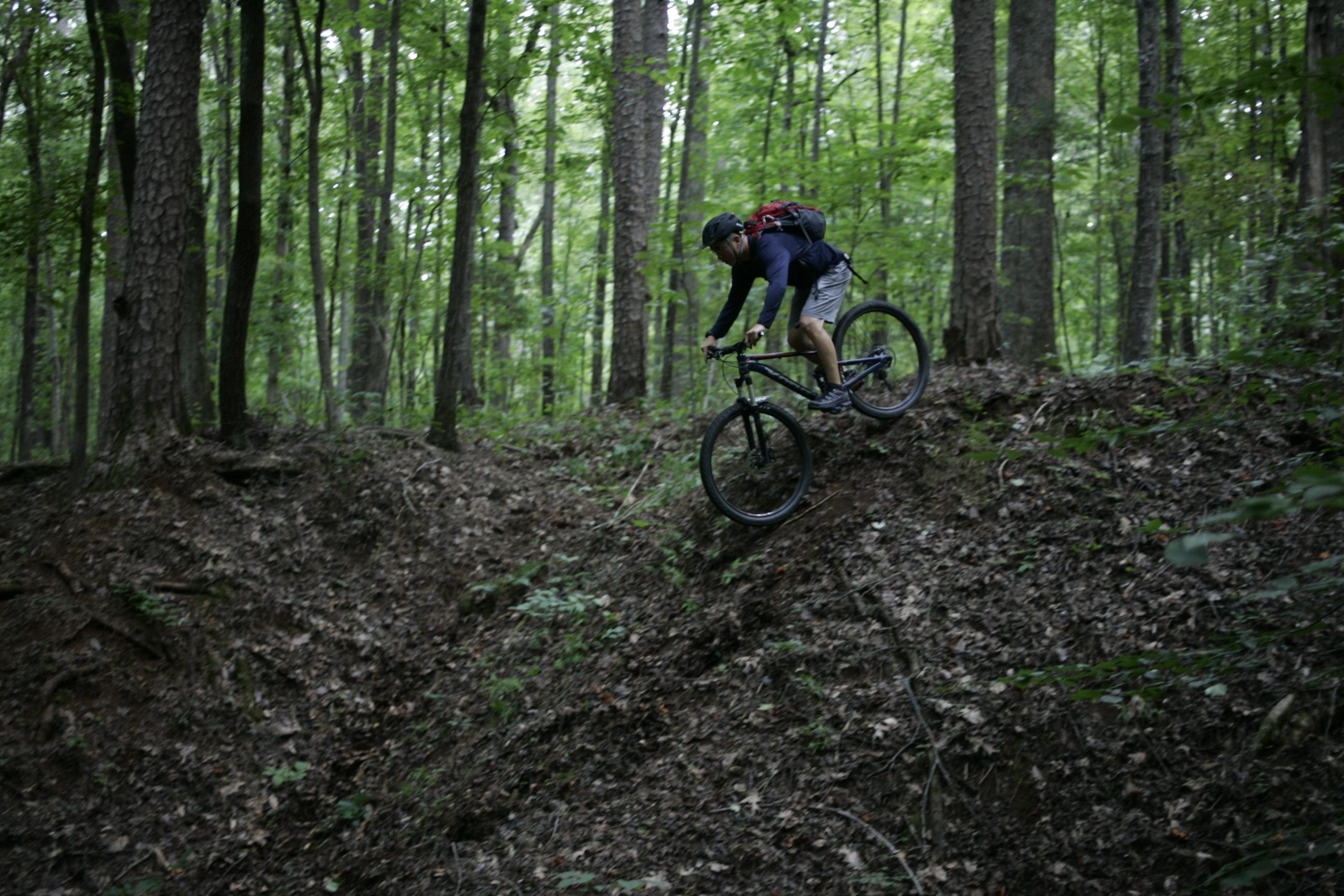 A mountain biker navigating a steep incline covered in leaves and soil, surrounded by dense green forest. The cyclist is wearing a helmet and backpack, demonstrating skill as they ride down the slope. Salem Lake mountain bike trail.