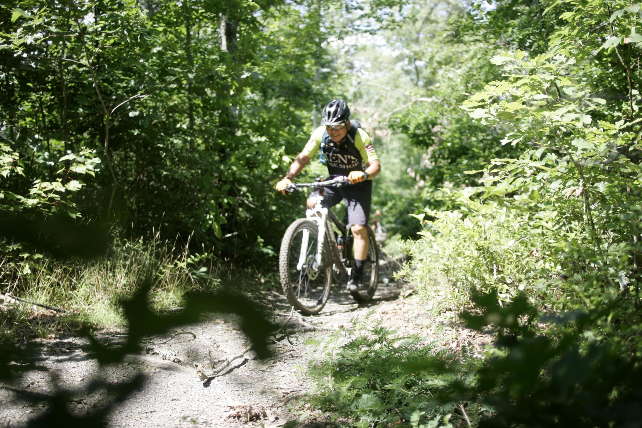 A mountain biker navigating a rugged forest trail surrounded by lush green foliage and sunlight filtering through the trees. The cyclist is focused on the path ahead, showcasing a sense of adventure and outdoor activity. Tsali Recreation Area mountain bike trail.
