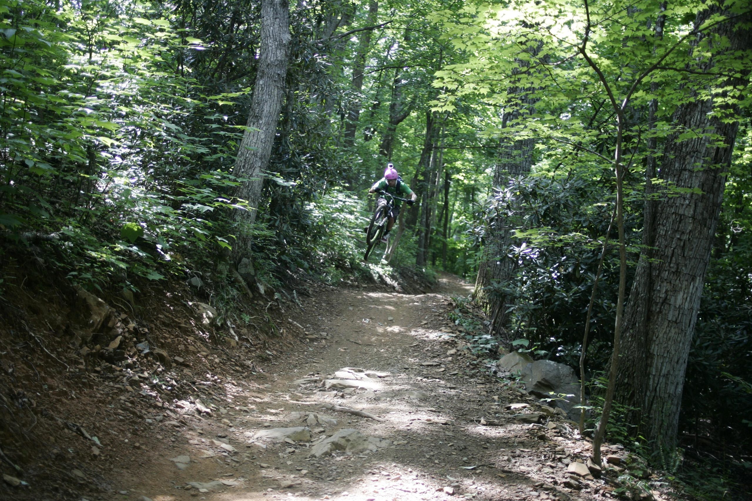 A mountain biker in a green shirt and pink helmet performs a jump on a dirt trail surrounded by lush green trees and shrubs. The scene captures the dynamic action of mountain biking in a vibrant natural setting. Rocky Knob Park mountain bike trail.