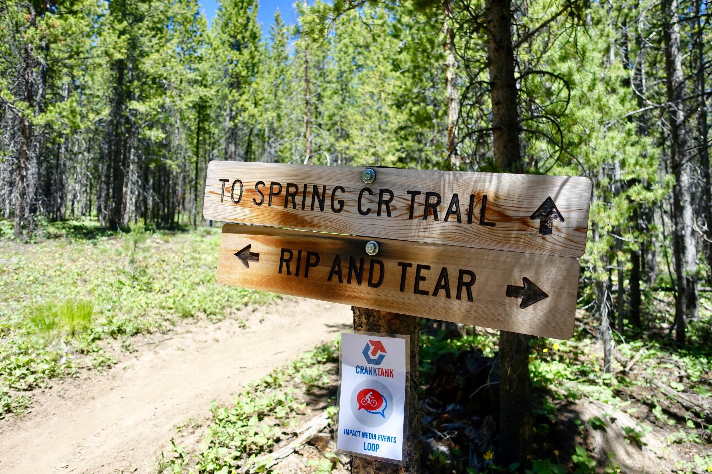 Wooden trail signs point in two directions: "To Spring CR Trail" arrow pointing upwards, and "Rip and Tear" arrow pointing left. A sign below promotes "CrankTank Impact Media Events Loop," with a bicycle icon. The background features a dense forest with green foliage and trees under a clear blue sky. Galena Lodge Trail System mountain bike trail.
