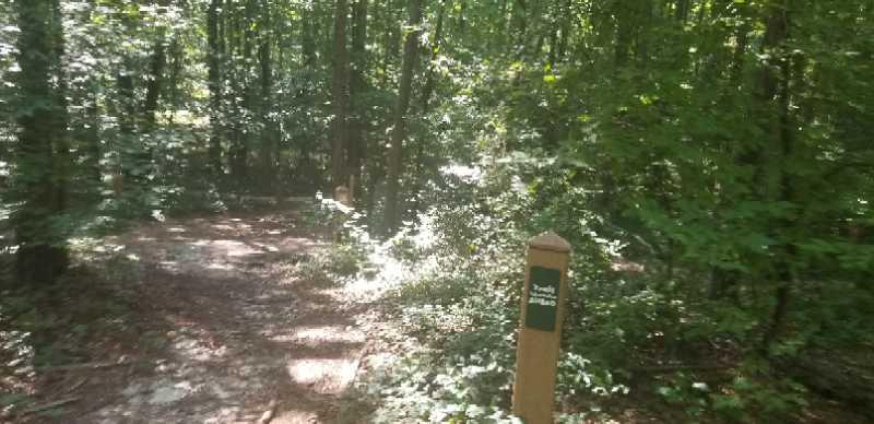 A sun-dappled forest trail winding through lush greenery, with a wooden trail marker on the right indicating directions or information about the path. Yellow River mountain bike trail.