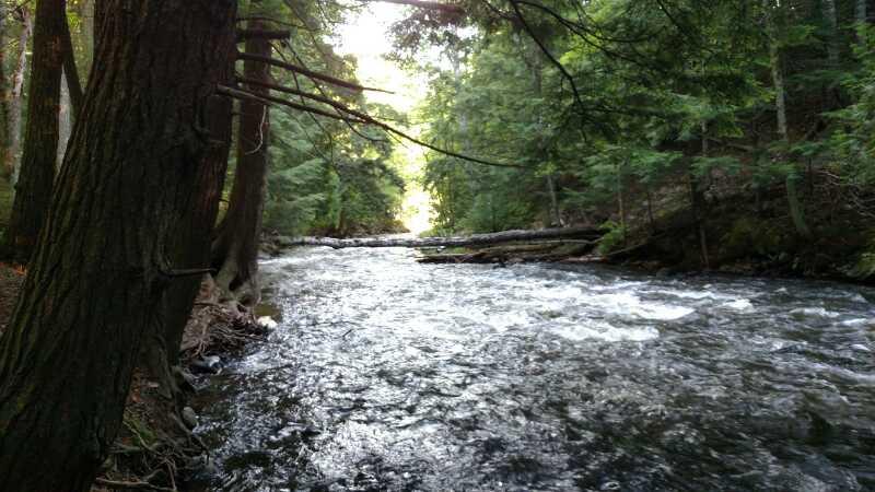 A scenic view of a flowing river surrounded by tall trees, with sunlight filtering through the foliage in the background. The water appears clear and rippling, and there are fallen logs partially visible along the riverbank. Noquemanon Trails Network: South Marquette Trails mountain bike trail.