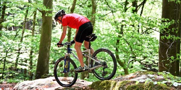 A cyclist in a red jersey and black shorts rides a mountain bike over a rocky terrain in a lush green forest. Sunlight filters through the trees, creating a vibrant and dynamic outdoor scene. Squaw Valley Bike Park mountain bike trail.