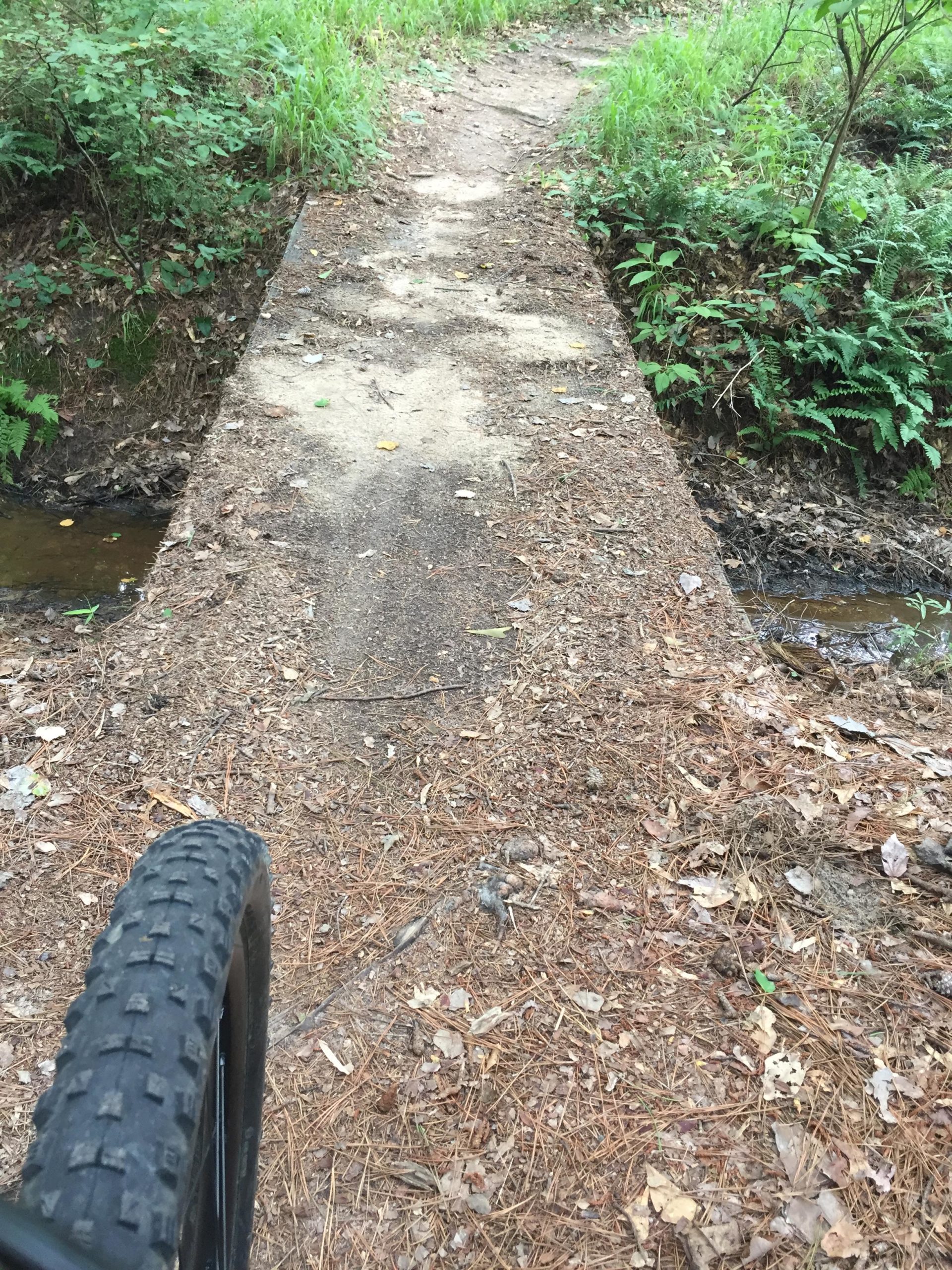 A narrow dirt path leading over a small bridge, surrounded by green vegetation and fallen leaves. The perspective shows the edge of a bicycle tire on the trail, highlighting a natural setting ideal for biking or hiking. Bartram Trail / West Dam / Wildwood Park mountain bike trail.