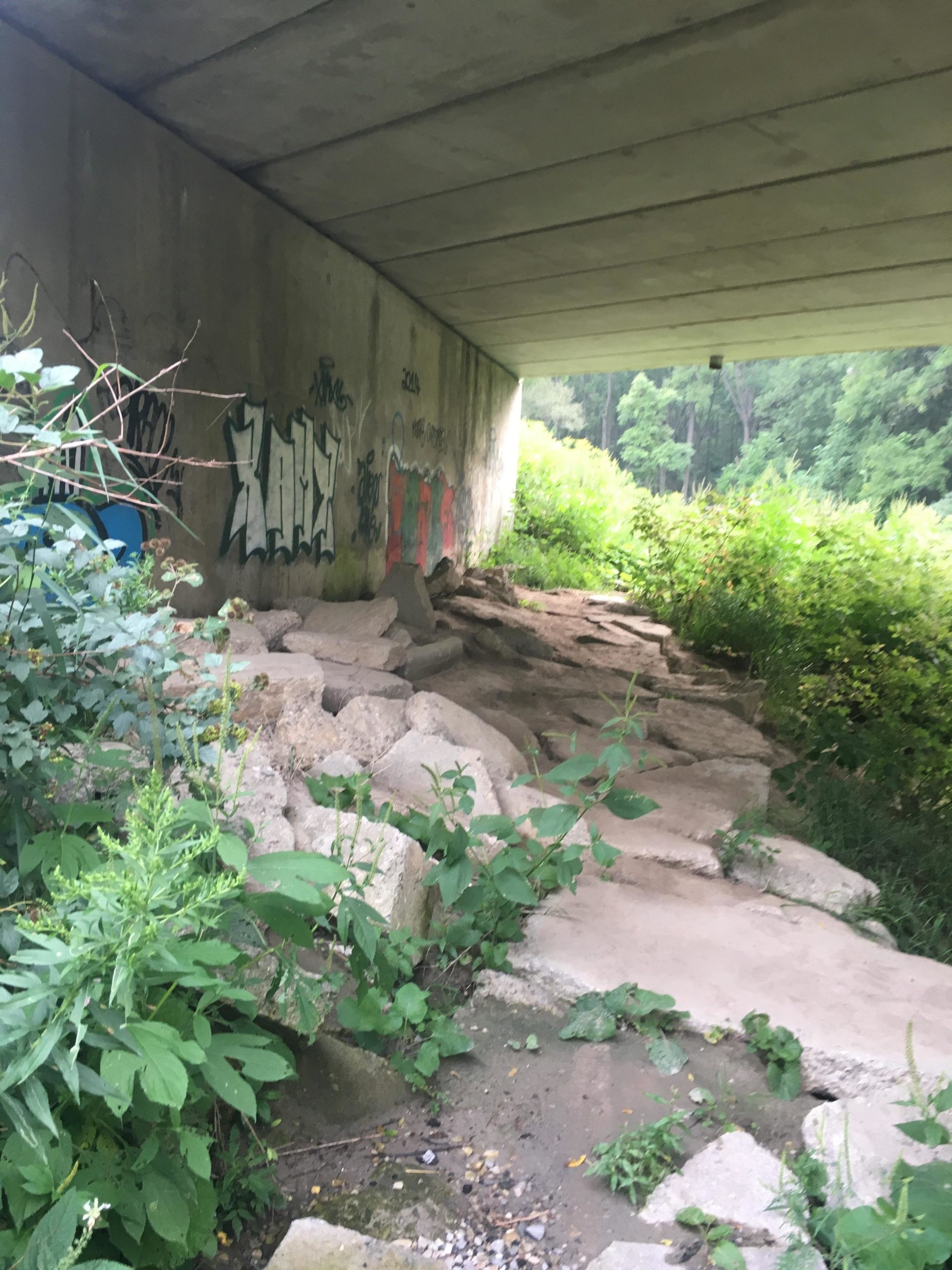 A view of a rocky path beneath a concrete overpass, surrounded by greenery and graffiti on the concrete wall. Wild plants and small rocks are visible along the ground. Dalewood (st.thomas) mountain bike trail.
