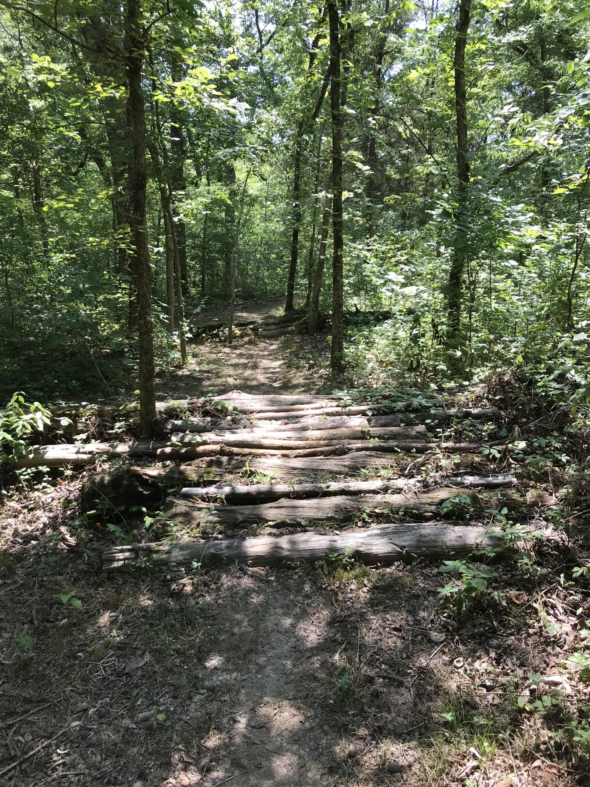 A dirt trail winding through a lush green forest, featuring a wooden bridge made of logs crossing over a small area of the path. Sunlight filters through the leaves, creating a serene and peaceful atmosphere. Binder Lake mountain bike trail.