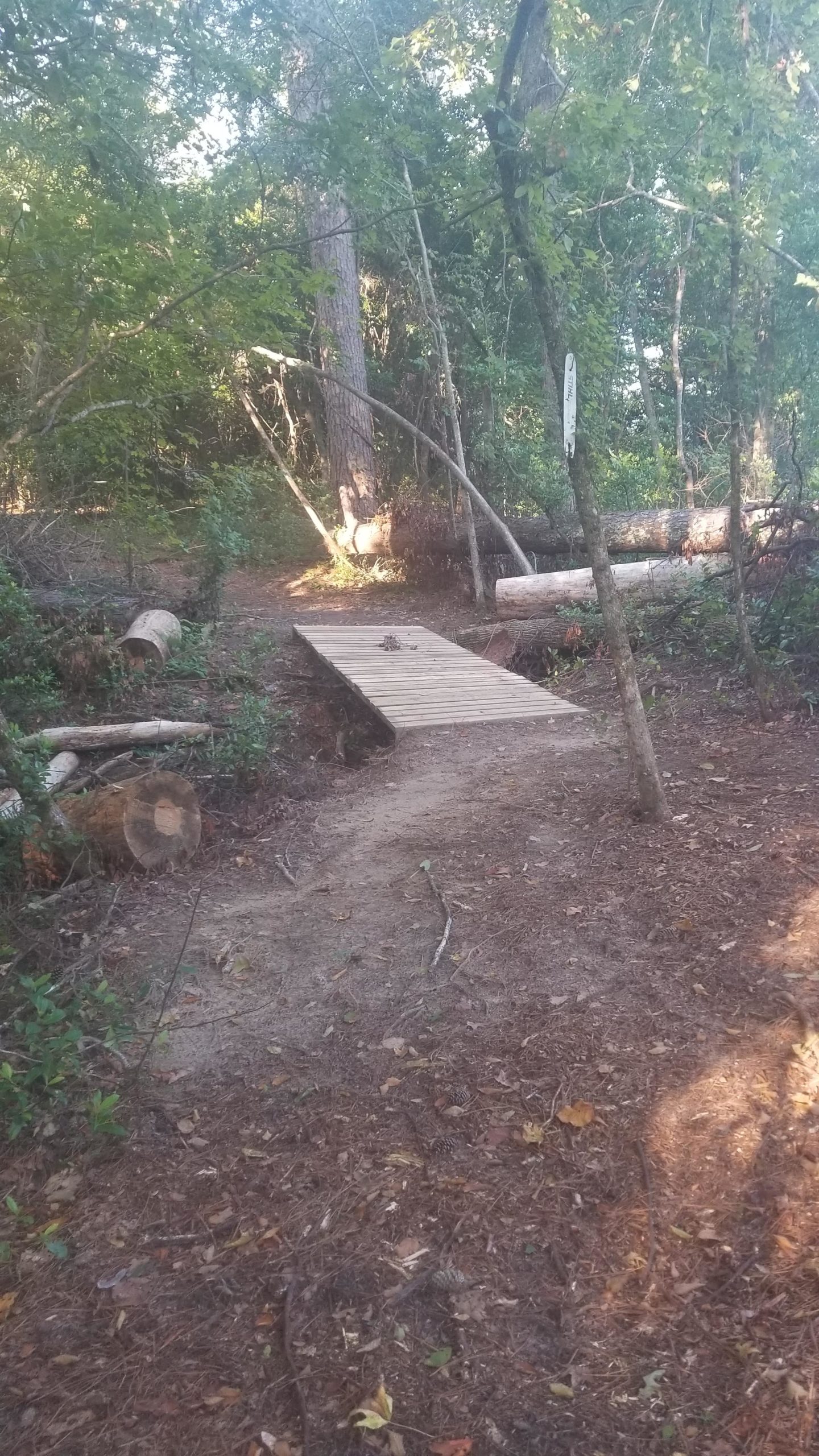 A small wooden bridge crosses a narrow pathway in a wooded area, surrounded by trees and fallen logs. The ground is covered with pine needles and scattered leaves, and there are various green shrubs and vegetation nearby. Edwin Grady Preserve mountain bike trail.