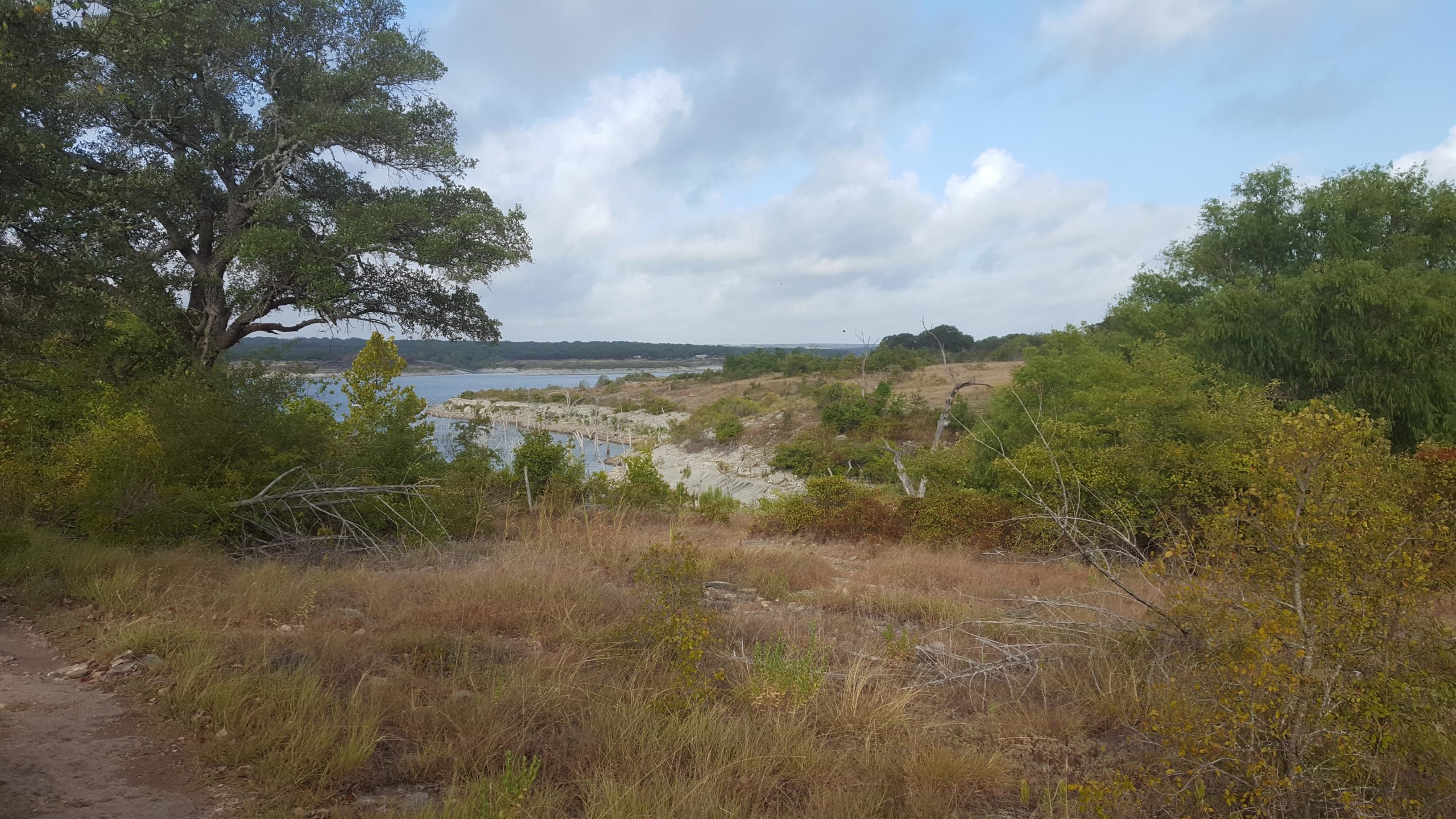 A scenic view of a tranquil lakeside landscape, featuring a mix of lush green trees and dry grass. The shoreline is visible with rocky terrain and a calm body of water in the background, under a partly cloudy sky. The scene showcases the natural beauty of the area, with hints of autumn colors in the foliage. Goodwater Trail mountain bike trail.
