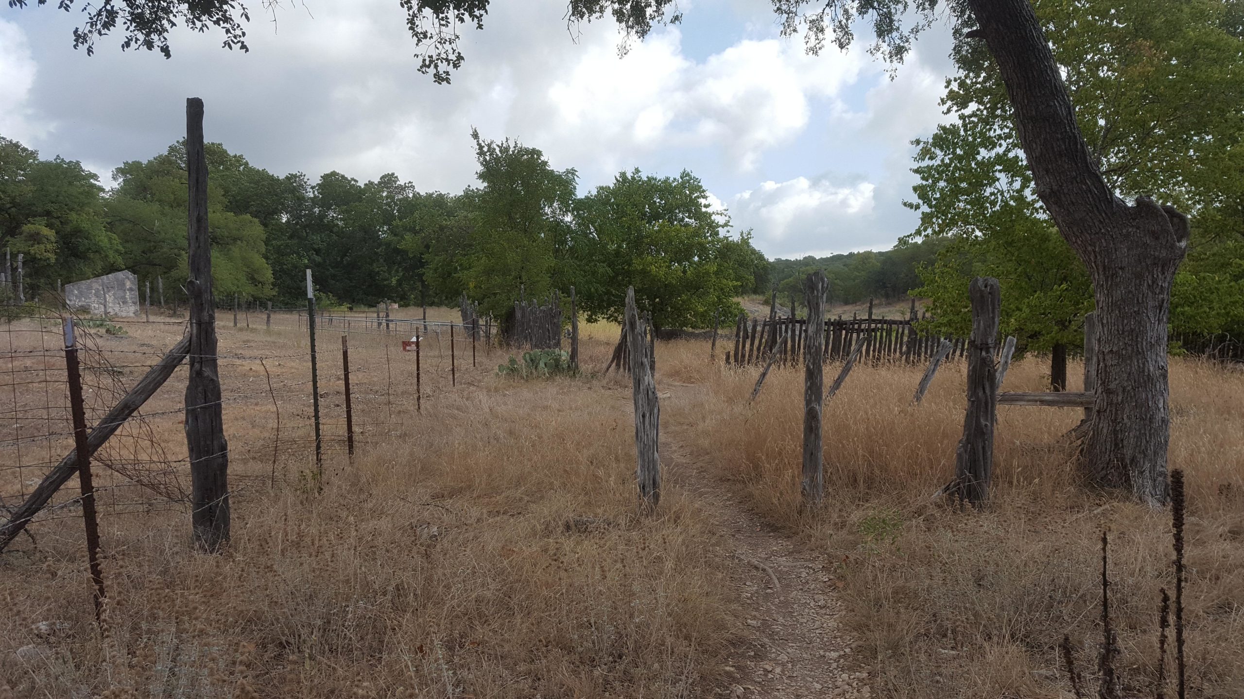 A dirt path leading through an overgrown field with tall, dry grass and scattered trees. Wooden fence posts are visible on either side, some with barbed wire attached. In the background, remnants of a stone structure can be seen among the trees. The sky is partly cloudy, adding a serene ambiance to the rural landscape. Goodwater Trail mountain bike trail.