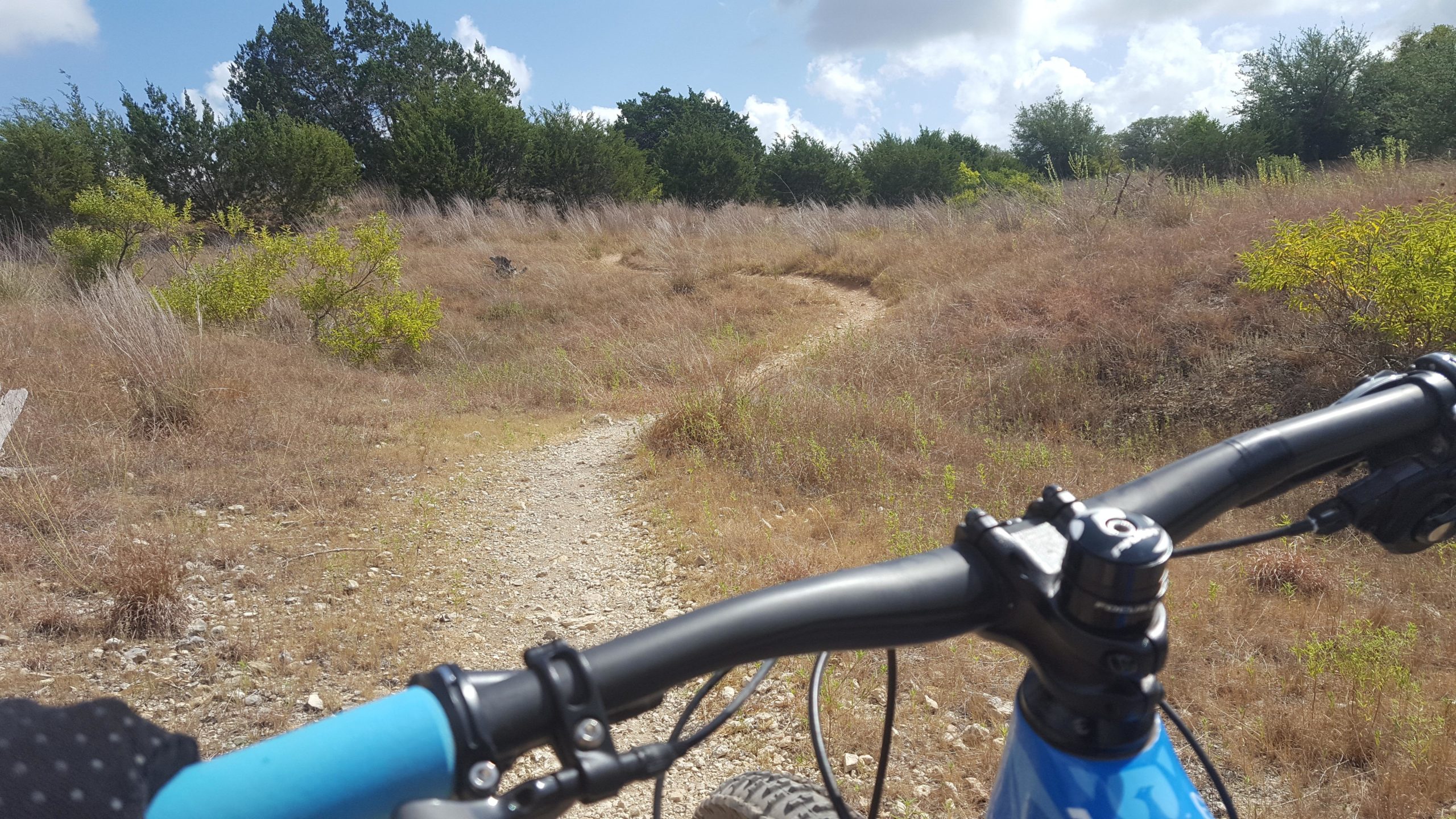 Mountain bike handlebars are visible in the foreground, set against a winding dirt trail leading into a grassy landscape. The path is surrounded by sparse vegetation, with clusters of green shrubs and dry grasses under a blue sky with a few clouds. Goodwater Trail mountain bike trail.