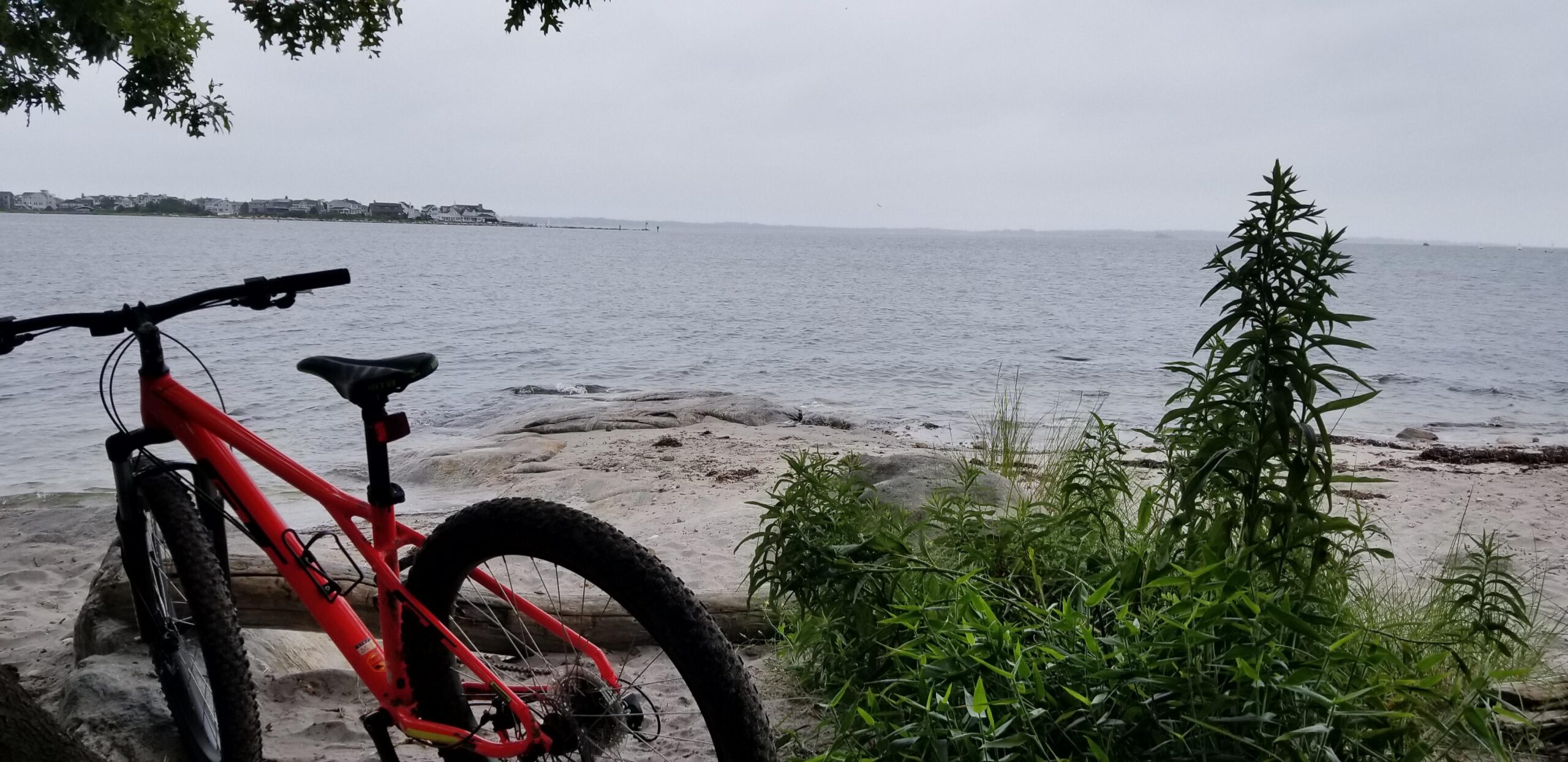 GT Ricochet: A red mountain bike parked on a rocky shore with a view of a calm body of water. In the background, there are distant houses on the shoreline under a cloudy sky. Lush green vegetation frames the scene.