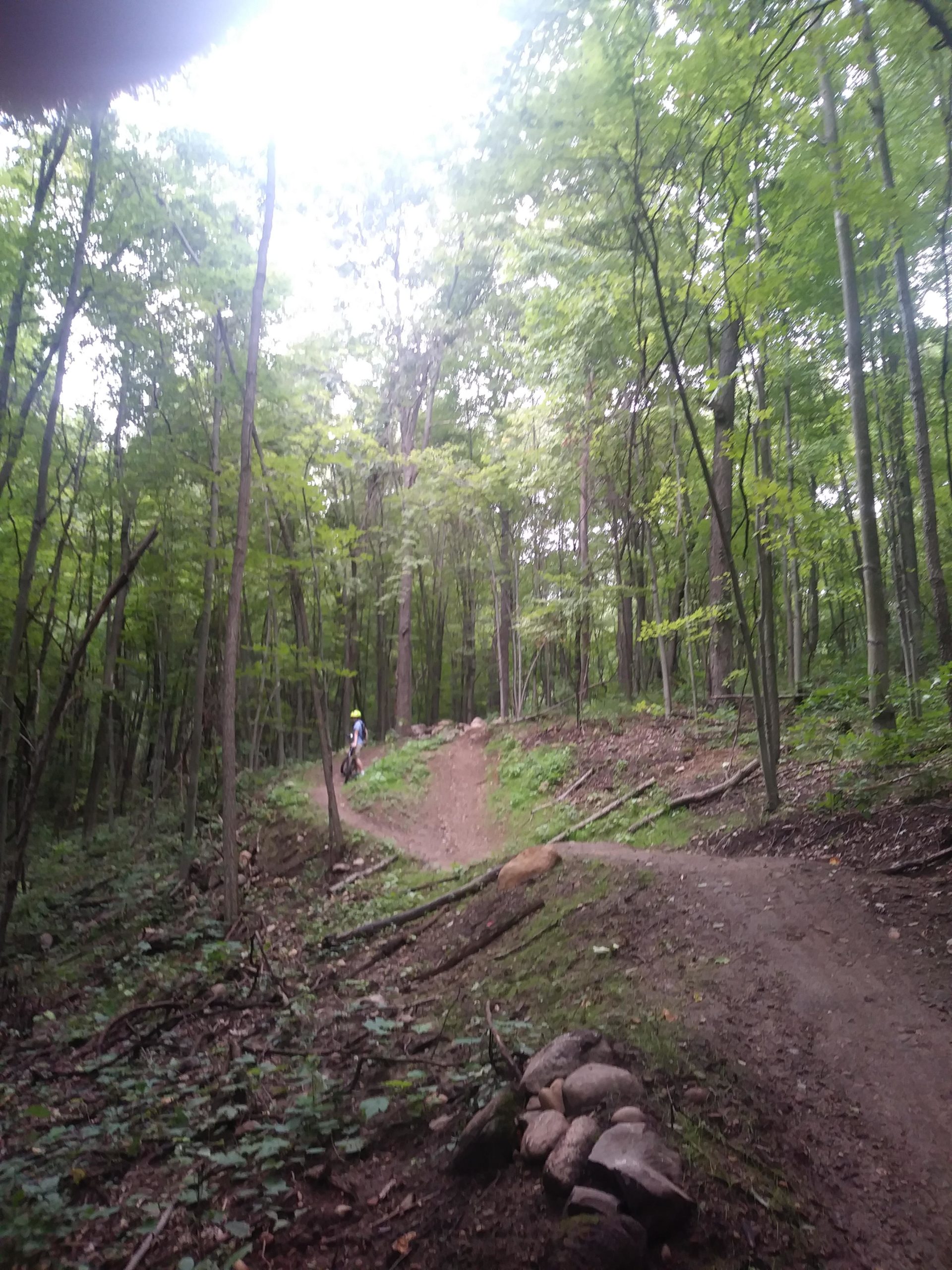A winding dirt trail through a lush green forest, with a person riding a bicycle in the distance. The scene features tall trees, scattered rocks, and a natural, unpaved path that curves through the landscape. The lighting suggests an overcast day, creating a serene and tranquil atmosphere. DTE Energy Foundation Trail mountain bike trail.