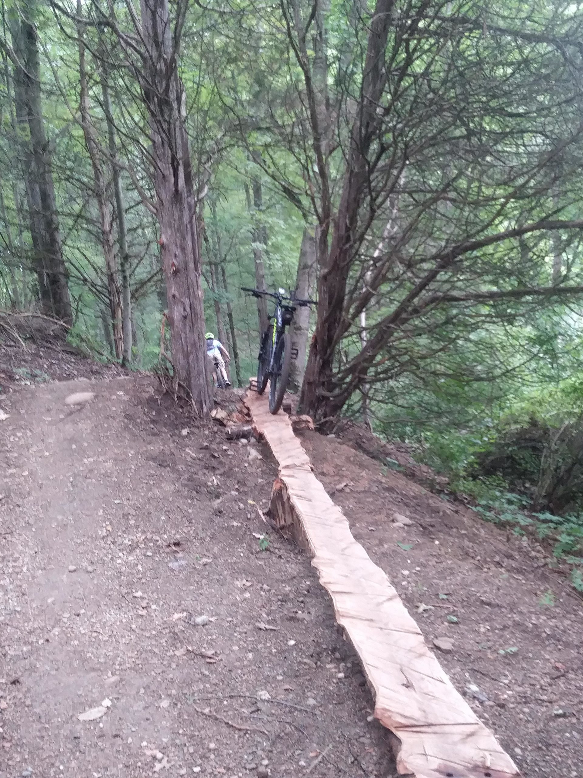 A mountain bike parked on a wooden plank trail surrounded by dense green trees in a forested area. DTE Energy Foundation Trail mountain bike trail.