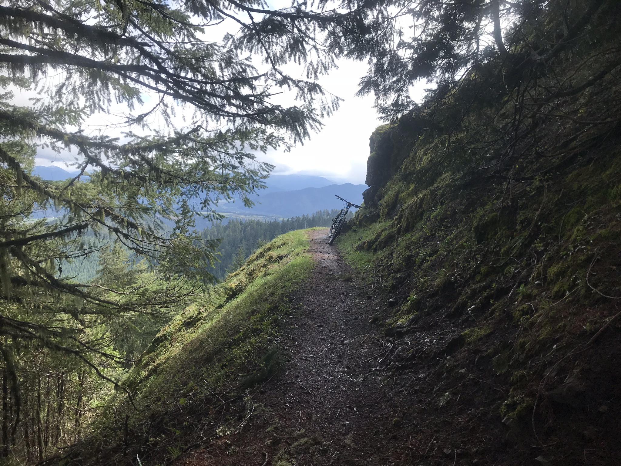 A scenic hiking trail surrounded by lush green trees and mossy rocks, leading toward a distant mountain range under a partly cloudy sky. A bike is parked beside the path. Alpine Trail mountain bike trail.