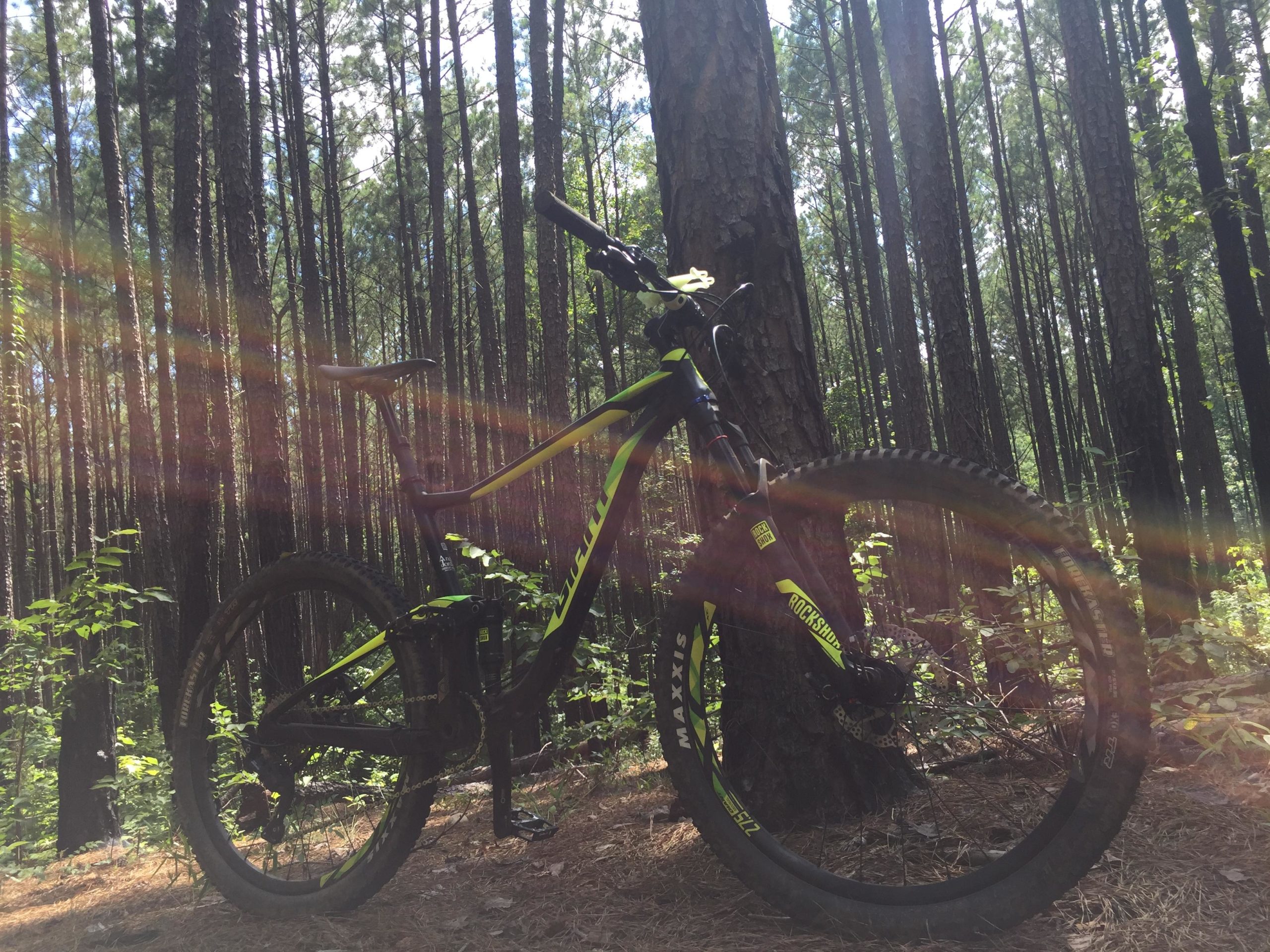 A mountain bike rests against a tree in a sunlit forest, surrounded by tall pine trees and greenery. Soft sunlight creates a lens flare effect, adding a warm glow to the scene. The bike features a sleek, modern design with vibrant green and black colors. Forks Area Trail System (FATS) mountain bike trail.