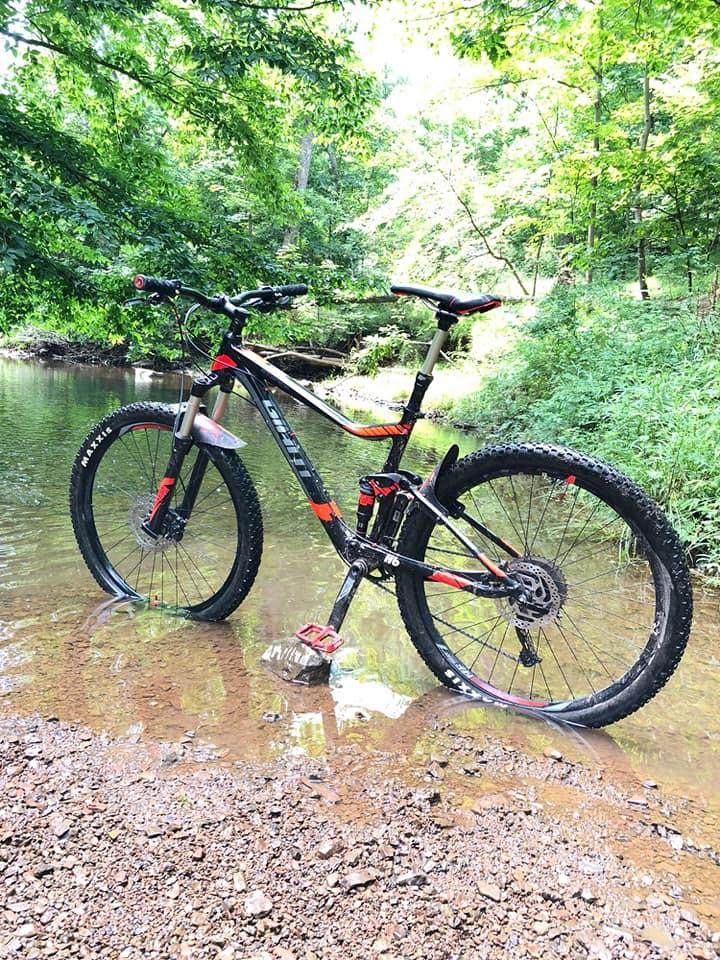 A mountain bike standing in shallow water beside a creek, surrounded by lush green trees and vegetation. Sunlight filters through the foliage, casting a warm glow on the scene. The bike has thick tires and a black and red frame, partially submerged in the clear water. Chimney Rock mountain bike trail.