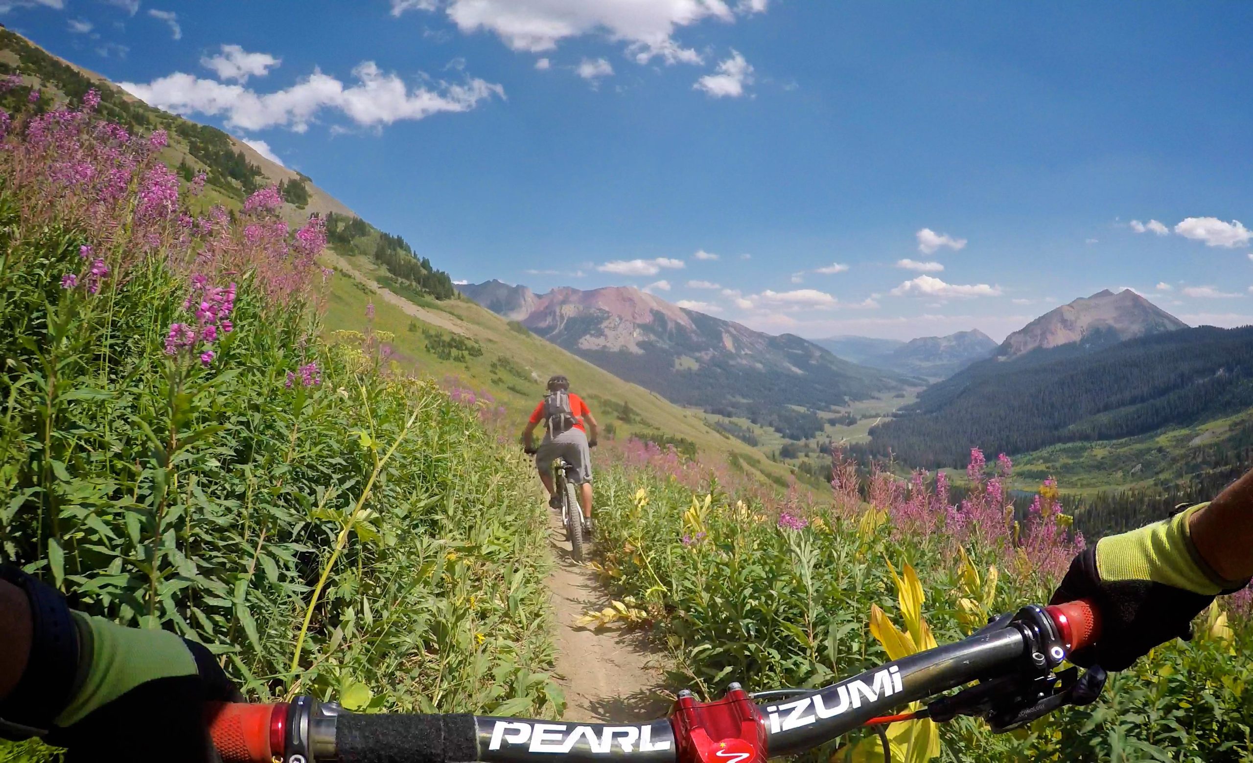 A cyclist riding along a mountain trail surrounded by vibrant wildflowers and lush greenery, with a panoramic view of distant mountains and a clear blue sky. The photo captures the handlebars of the bike in the foreground, emphasizing the adventurous outdoor setting. Trail 401 mountain bike trail.