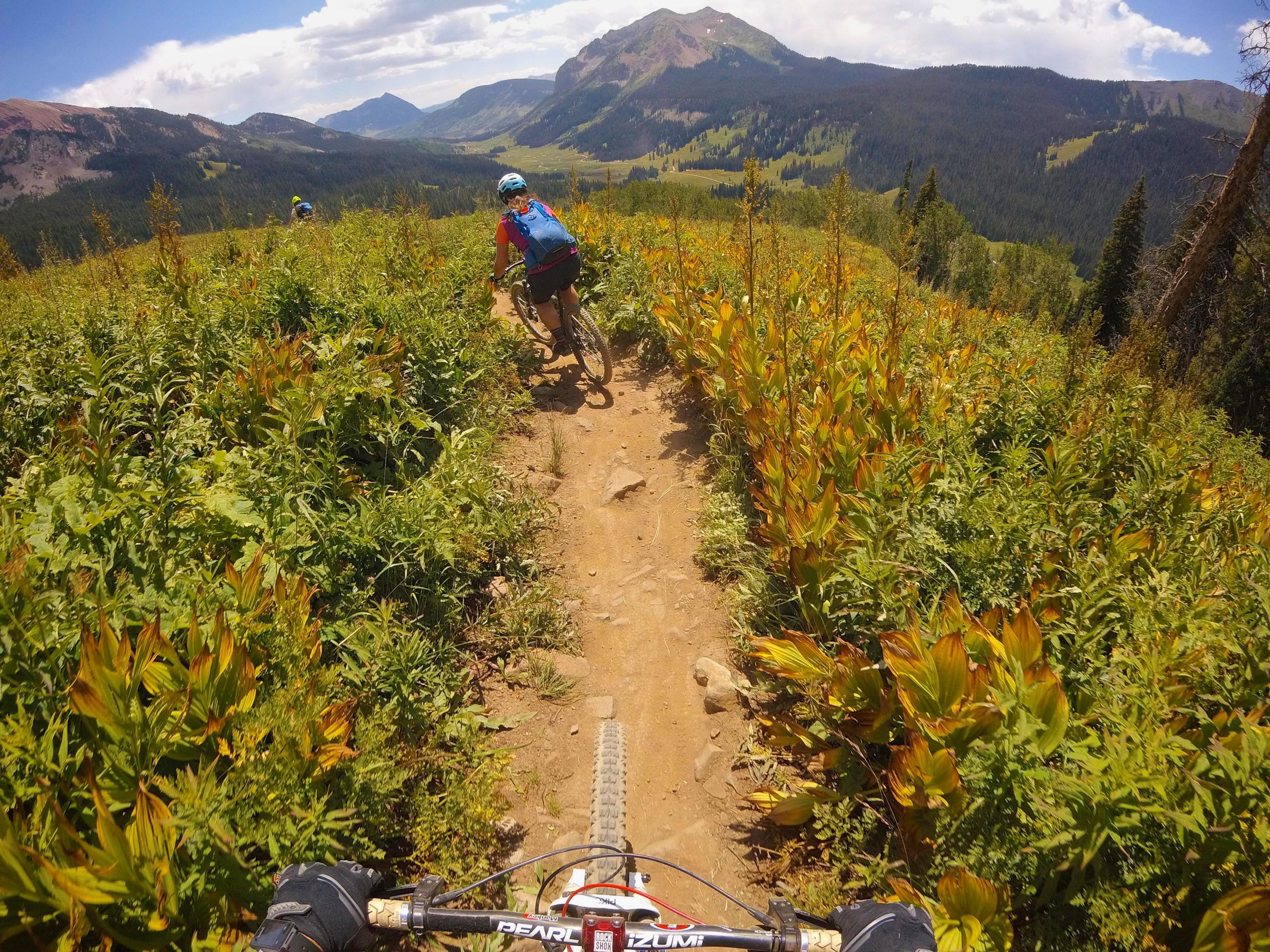 A mountain biker riding along a narrow dirt trail surrounded by vibrant green and orange foliage, with scenic mountain views in the background under a partly cloudy sky. Trail 401 mountain bike trail.