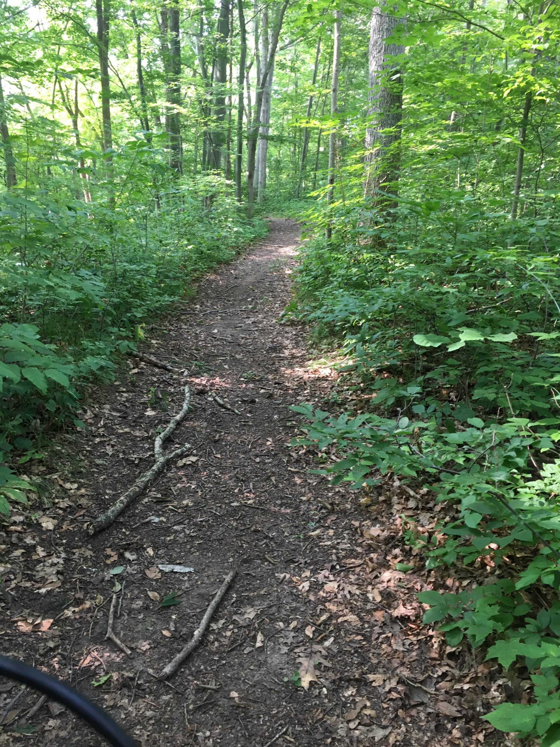A serene dirt path winding through a lush green forest, surrounded by trees and underbrush. The trail is lined with fallen leaves and small sticks, inviting outdoor exploration in a tranquil natural setting. Parkhill Conservation area and rail trail mountain bike trail.