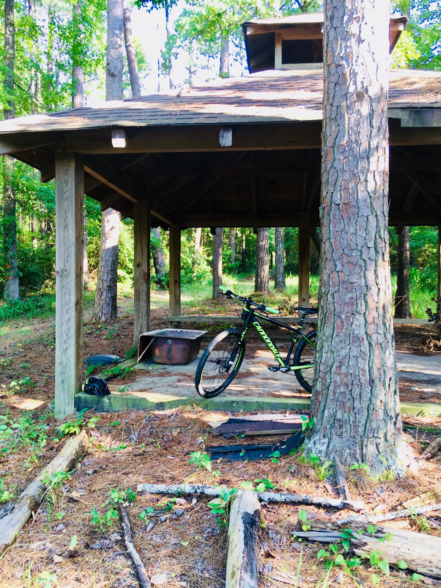 A wooden gazebo surrounded by trees in a forested area, with a bicycle parked next to it and a black helmet on the ground nearby. Pine needles and fallen logs are scattered on the ground. Natural sunlight filters through the leaves, creating a serene outdoor scene. Bartram Trail / West Dam / Wildwood Park mountain bike trail.