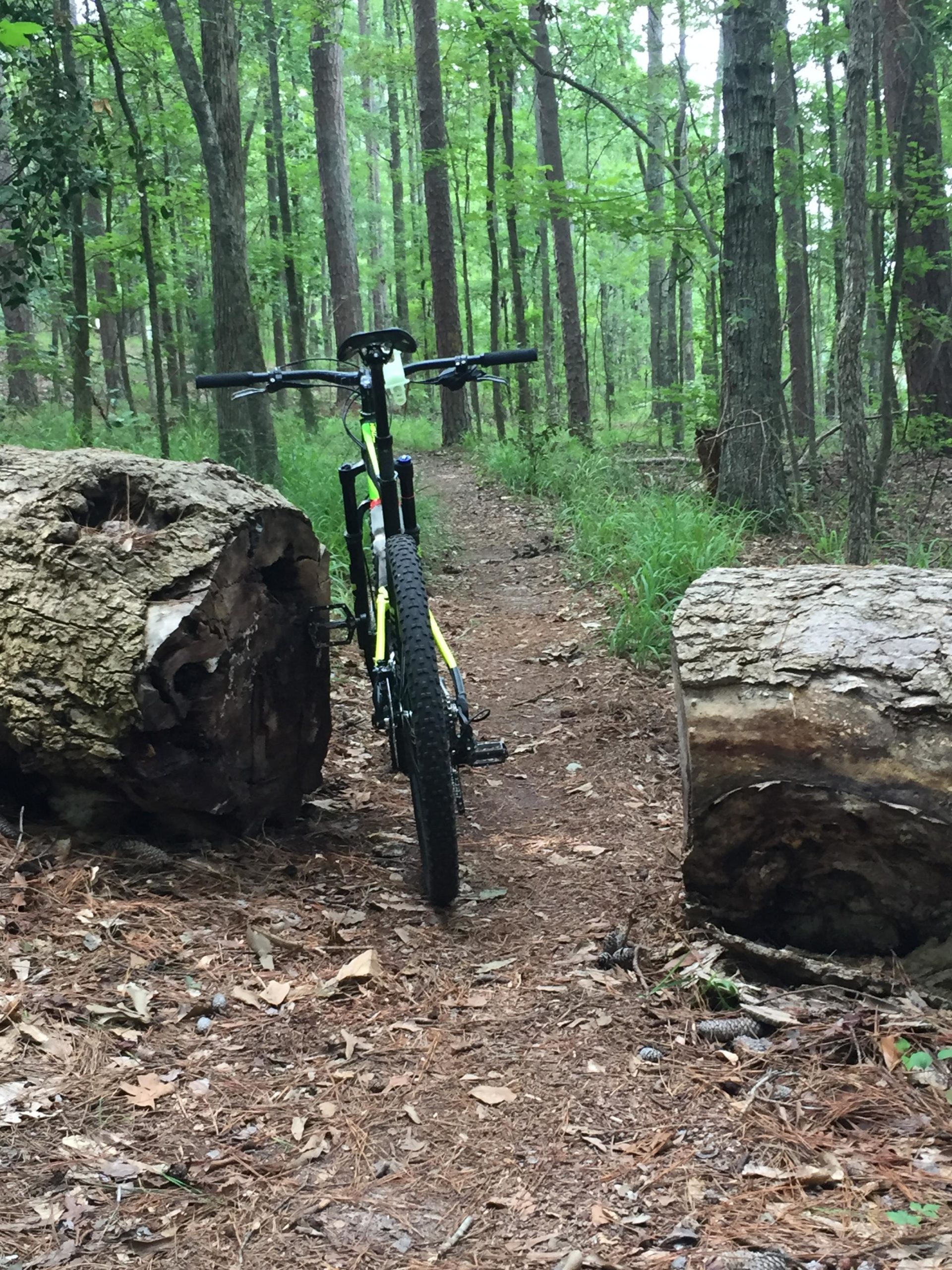 A mountain bike positioned in a wooded trail, flanked by two large logs, with dense green foliage and tall trees in the background. Bartram Trail / West Dam / Wildwood Park mountain bike trail.