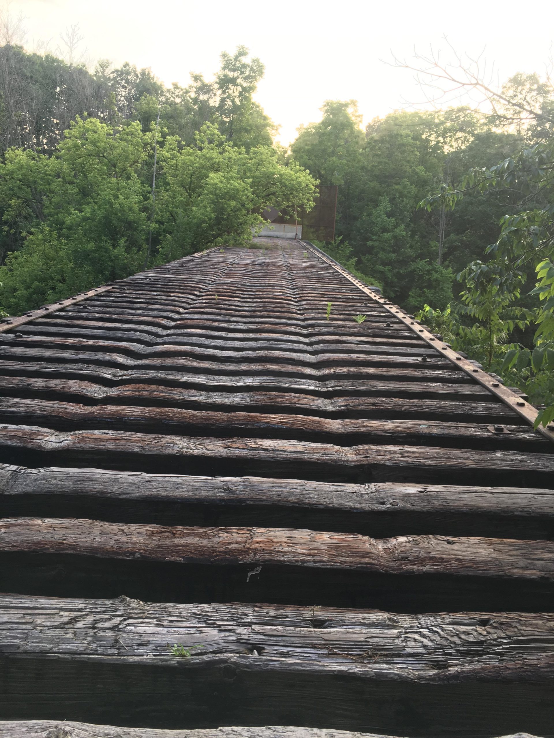 A weathered wooden bridge extends into lush greenery, with wooden planks lined up along the path. The distant tree line and soft light create a serene, natural atmosphere, suggesting a peaceful outdoor setting. Parkhill Conservation area and rail trail mountain bike trail.