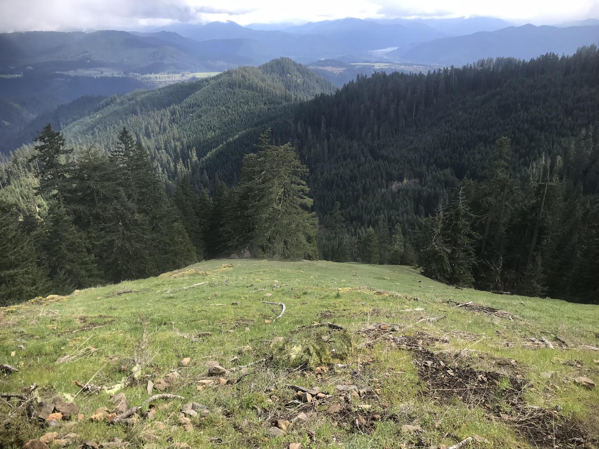 A panoramic view of a mountainous landscape featuring lush green hills and dense coniferous forests. The scene captures the rolling terrain, with distant mountains under a partly cloudy sky, showcasing the natural beauty of the wilderness. In the foreground, grassy slopes are dotted with small rocks and fallen branches. Alpine Trail mountain bike trail.