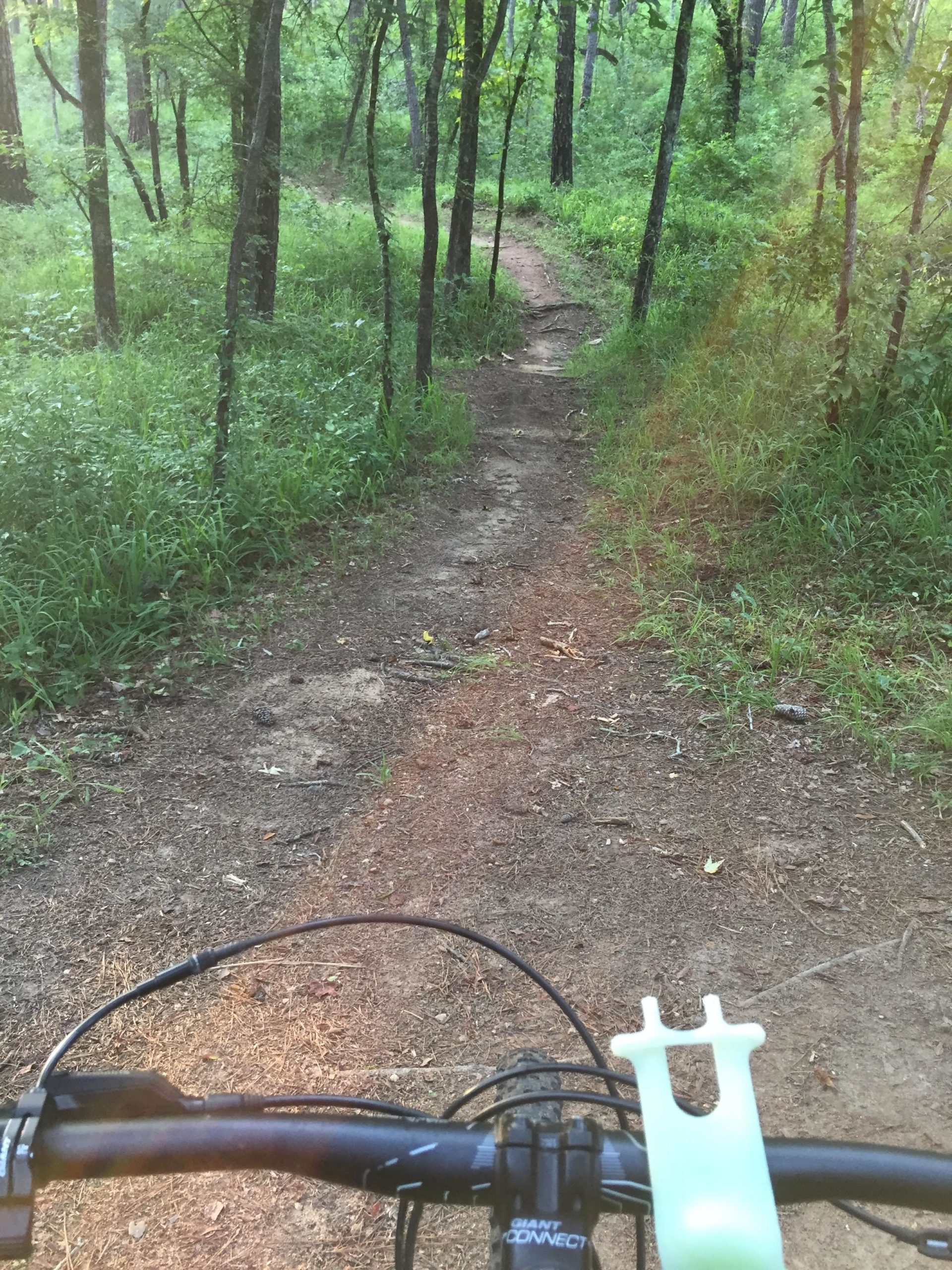 A view from the handlebars of a mountain bike on a dirt path winding through a wooded area, with tall green grass and trees lining the trail. The sun is shining, creating a warm, inviting atmosphere. Forks Area Trail System (FATS) mountain bike trail.