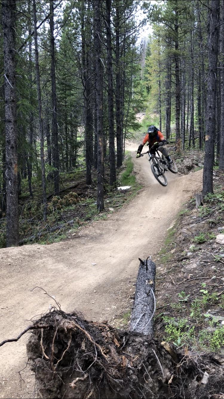 A mountain biker in an orange shirt performs a jump on a dirt trail surrounded by tall pine trees in a forested area. The bike is airborne, showcasing the rider's skill and agility as they navigate the natural terrain. A fallen tree root is visible in the foreground, adding to the rugged environment. Trestle Bike Park mountain bike trail.