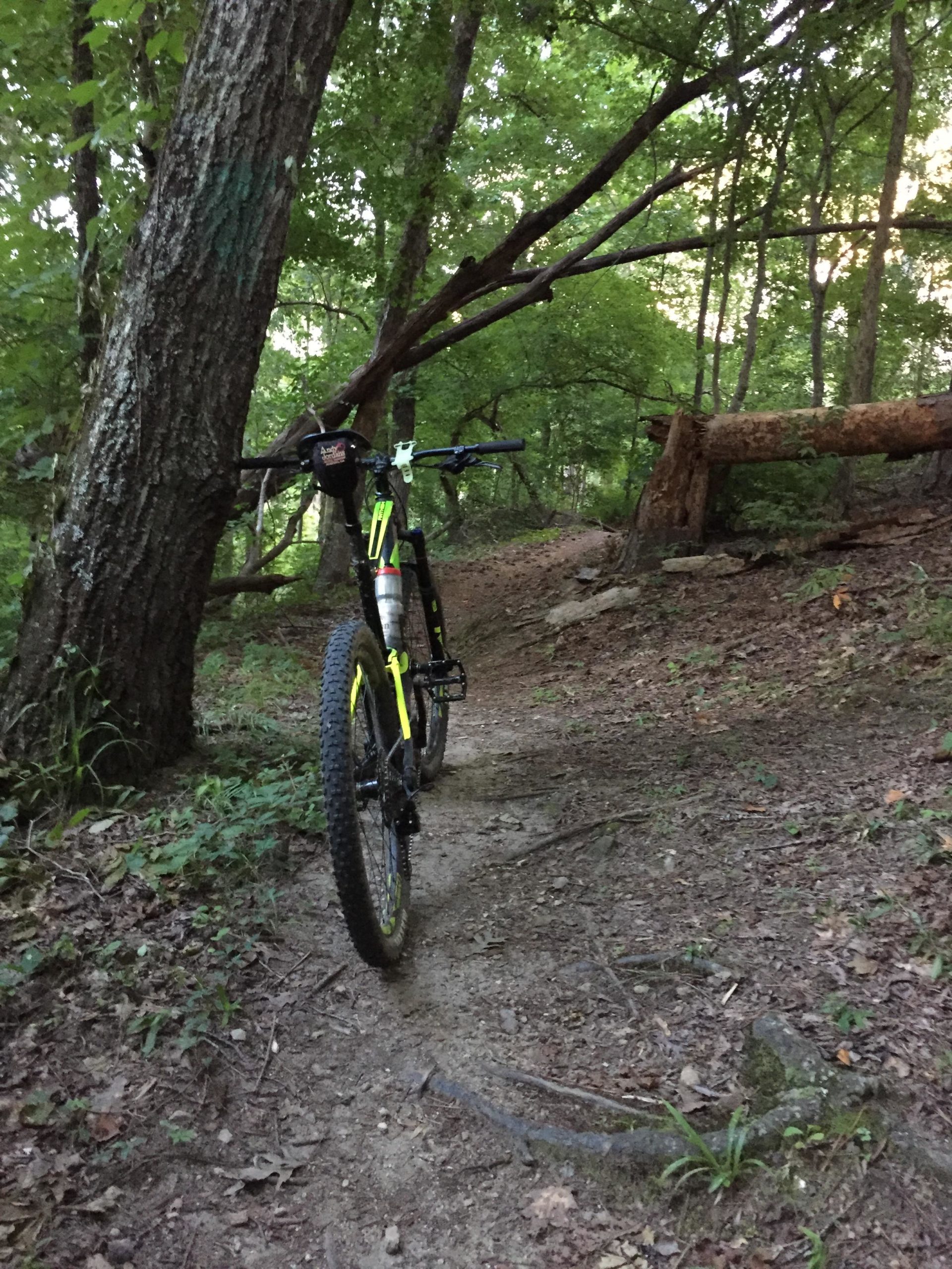 A mountain bike positioned on a dirt trail surrounded by dense green foliage and trees, with a fallen log to the side and a clear path leading into the woods. Forks Area Trail System (FATS) mountain bike trail.