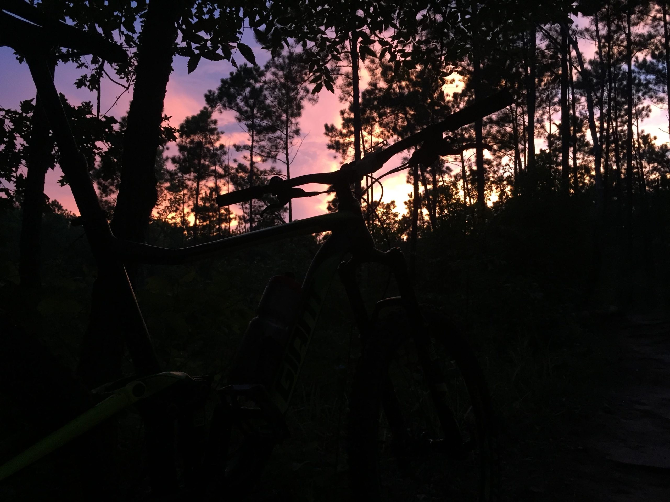 Silhouette of a mountain bike against a vibrant sunset backdrop, with trees and a winding path visible in the foreground. The sky displays shades of orange, pink, and purple, creating a serene outdoor atmosphere. Forks Area Trail System (FATS) mountain bike trail.