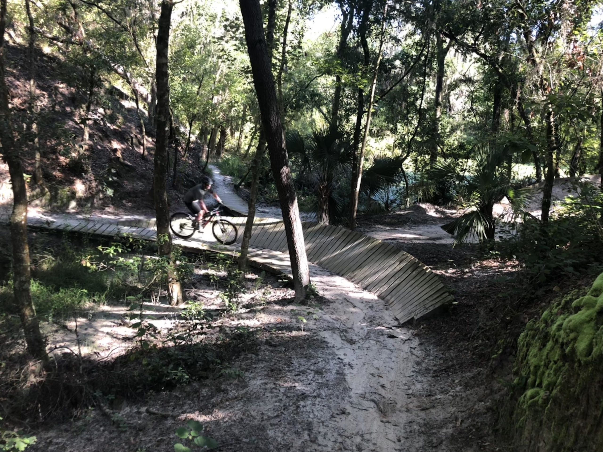 A mountain biker riding over a wooden bridge in a lush, green forested area, surrounded by trees and vegetation. The path curves through the landscape, with a glimpse of water visible in the background. Alafia River State Park mountain bike trail.