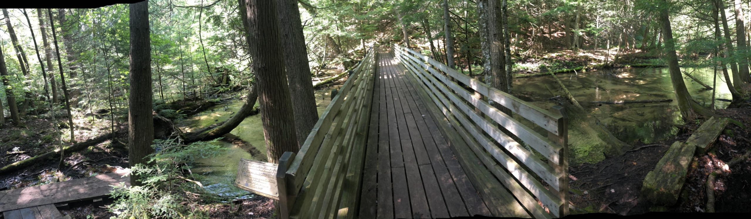 A wooden boardwalk extends through a lush forest, surrounded by tall trees and greenery. The path runs parallel to a shallow, clear stream that reflects the sunlight filtering through the leaves. A small wooden sign is partially visible on the left side of the image. McCune Nature Preserve mountain bike trail.