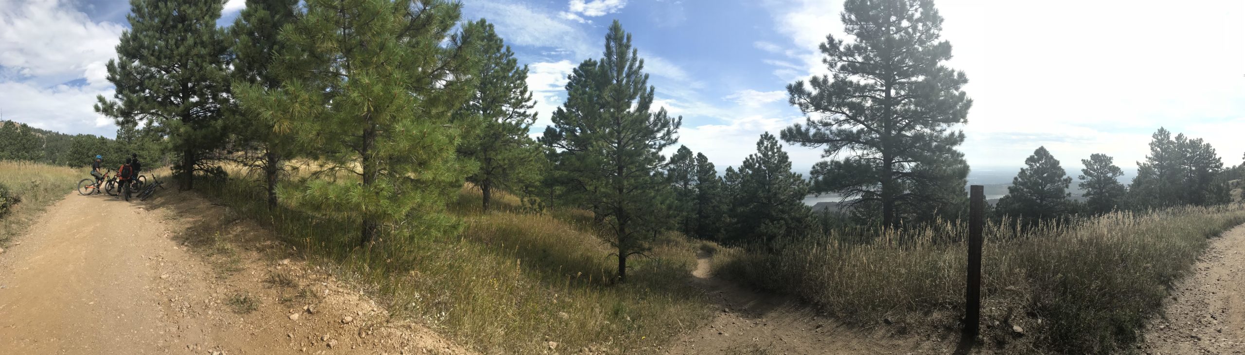 A panoramic view of a dirt trail winding through a forest of tall pine trees. In the foreground, two mountain bikes are parked near the trail where a cyclist stands. The landscape features grassy patches and trees against a backdrop of a blue sky with scattered clouds, creating a serene outdoor atmosphere. Horsetooth Mountain Park mountain bike trail.