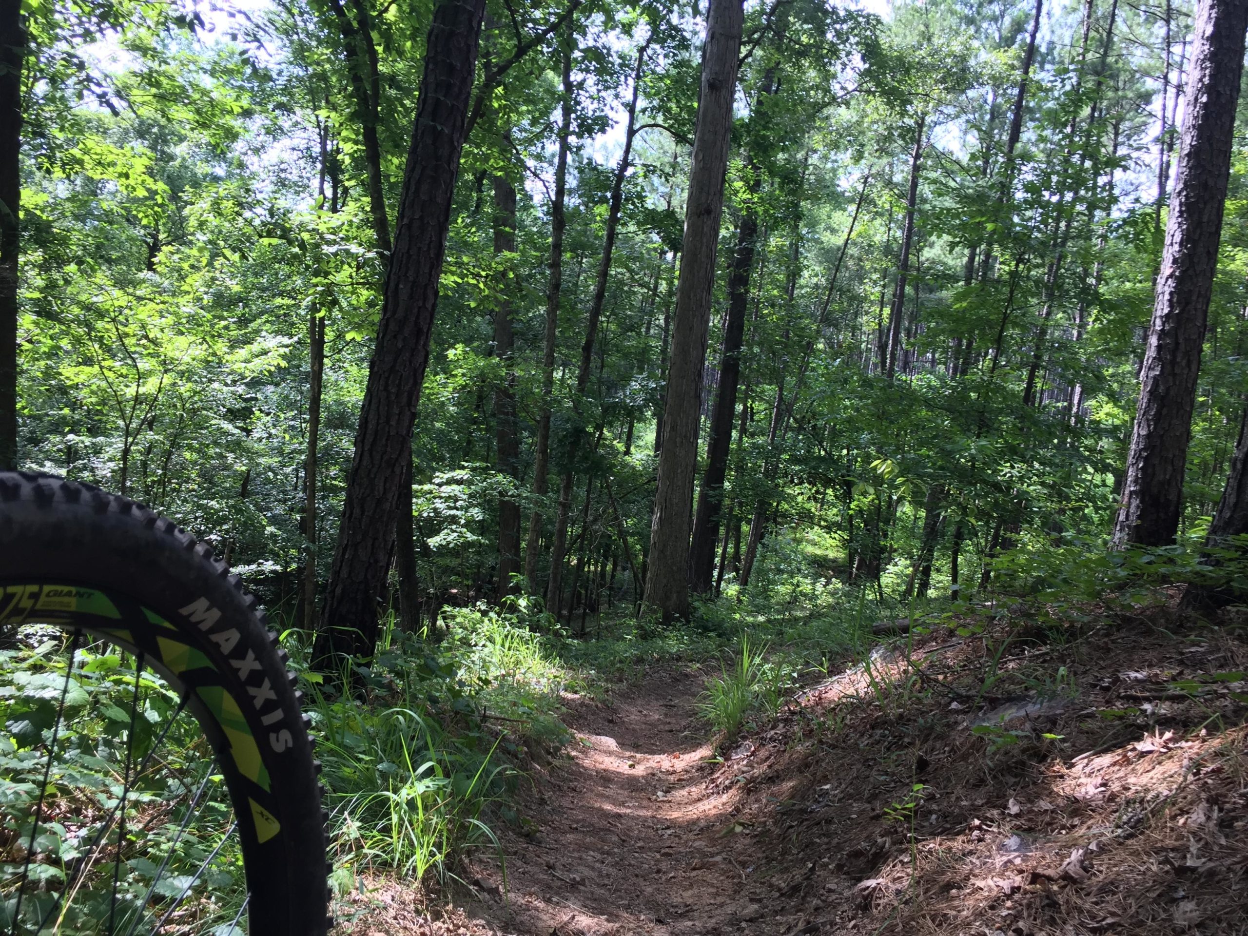 A mountain bike tire is positioned in the foreground, with a dirt trail winding through a dense forest of tall trees and lush greenery in the background. Sunlight filters through the leaves, casting dappled shadows on the path. Forks Area Trail System (FATS) mountain bike trail.
