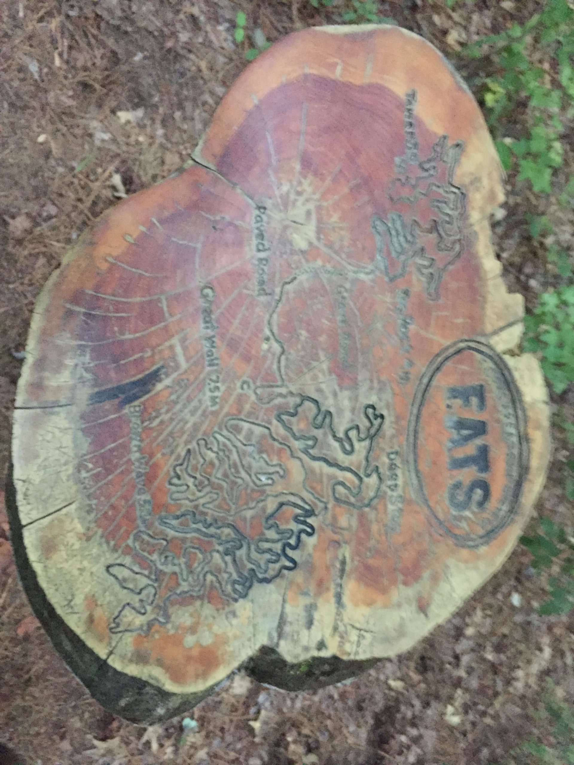 A wooden tree stump displaying a map and the text "FATS," surrounded by a natural forest setting. The wood surface features engraved details of trails and areas, emphasizing a rustic outdoor theme. Forks Area Trail System (FATS) mountain bike trail.