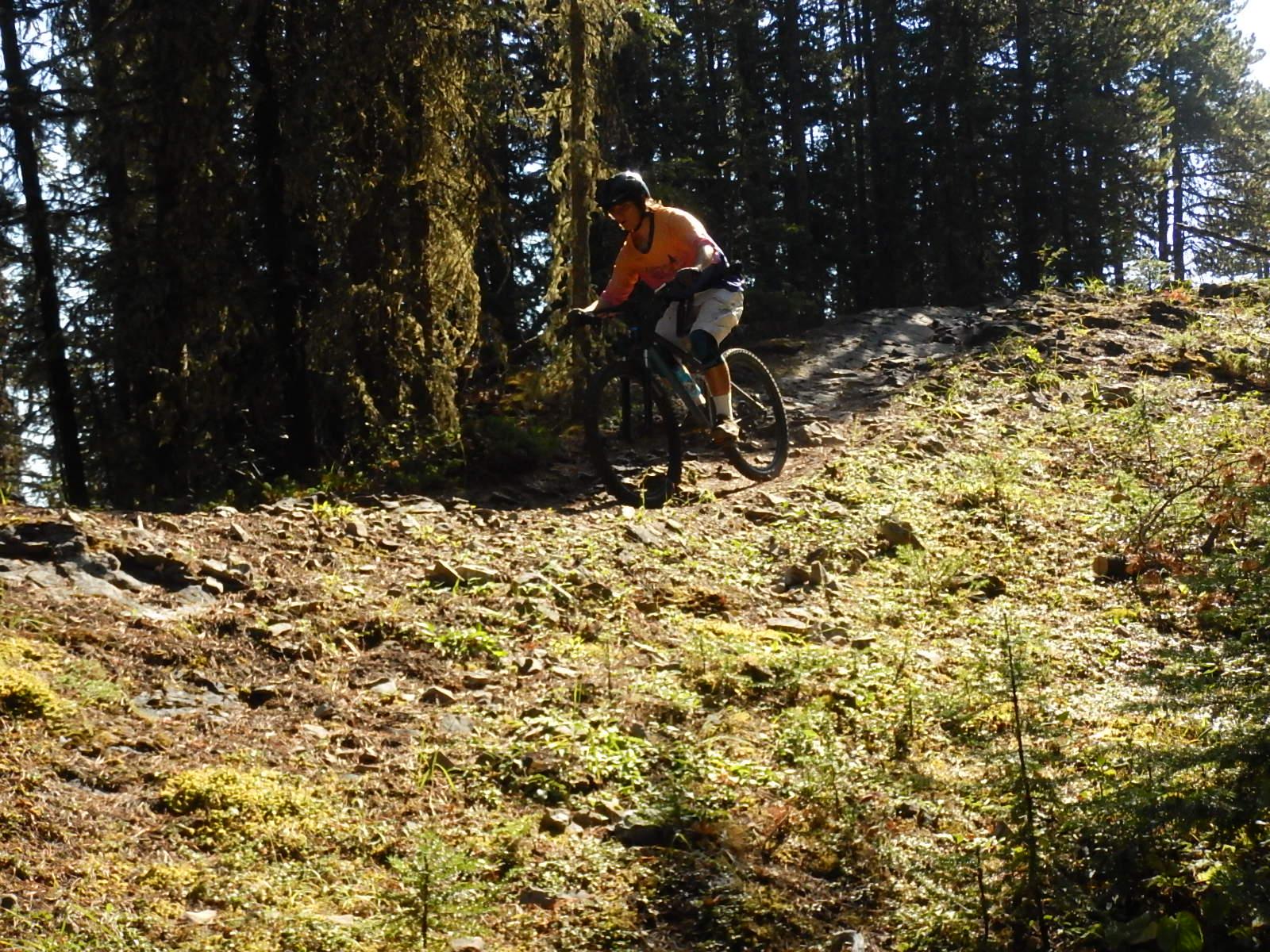 A mountain biker navigating a rocky trail in a forested area, surrounded by tall trees and dappled sunlight. The cyclist is wearing a helmet and brightly colored clothing, focused on maintaining balance while riding on the uneven terrain. Stoney Squaw Upper & Lower mountain bike trail.