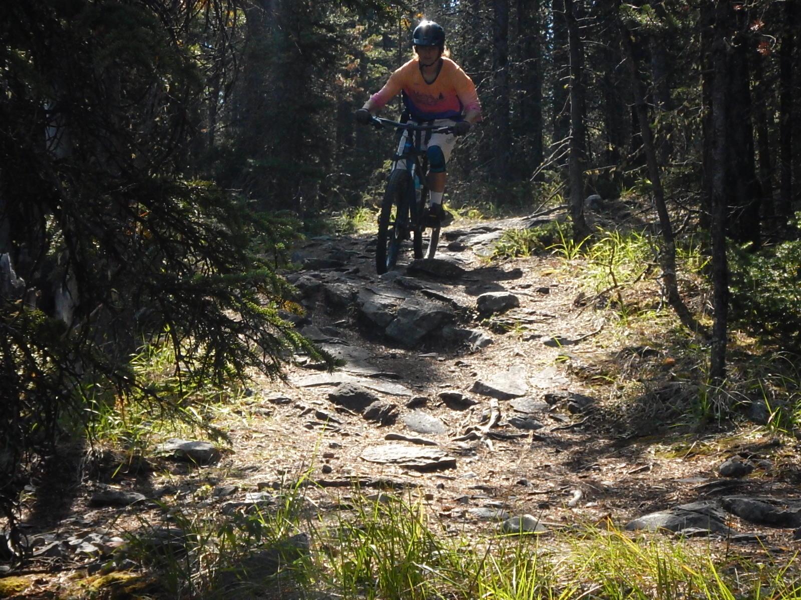 A mountain biker navigates a rocky trail through a dense forest, surrounded by trees and greenery, with sunlight filtering through the branches. Stoney Squaw Upper & Lower mountain bike trail.