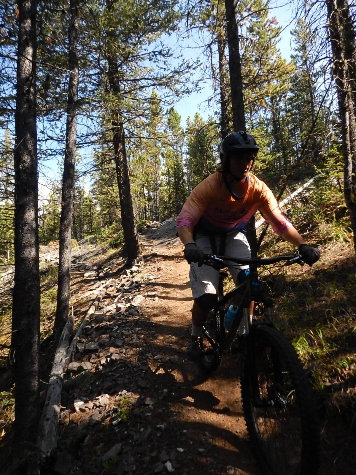 A mountain biker riding along a rocky trail in a forested area, surrounded by tall trees and sunlight filtering through the foliage. The rider is wearing a helmet and a brightly colored shirt, focused on navigating the terrain. Stoney Squaw Upper & Lower mountain bike trail.