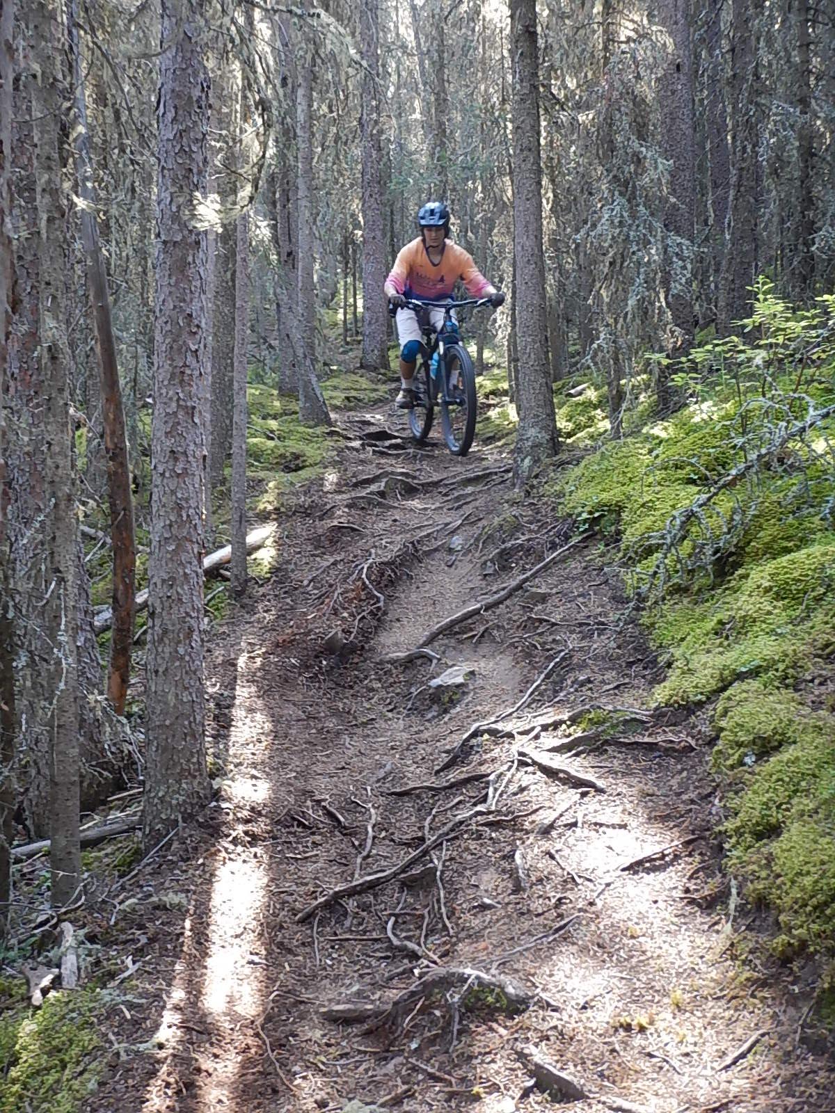 A mountain biker navigating a narrow, root-laden trail through a dense forest. Sunlight filters through the trees, highlighting patches of moss on the ground. The cyclist is wearing a helmet and activewear, focused on the path ahead. Stoney Squaw Upper & Lower mountain bike trail.