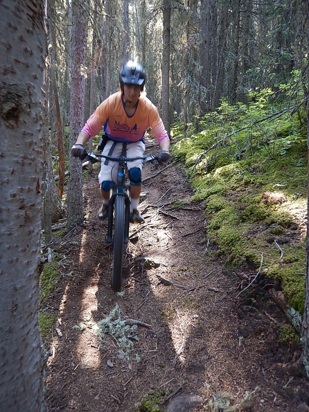 A mountain biker riding along a narrow, forested trail surrounded by tall trees and moss-covered ground. Sunlight filters through the canopy, creating a dappled light effect on the path. The rider is wearing a helmet and brightly colored biking gear. Stoney Squaw Upper & Lower mountain bike trail.