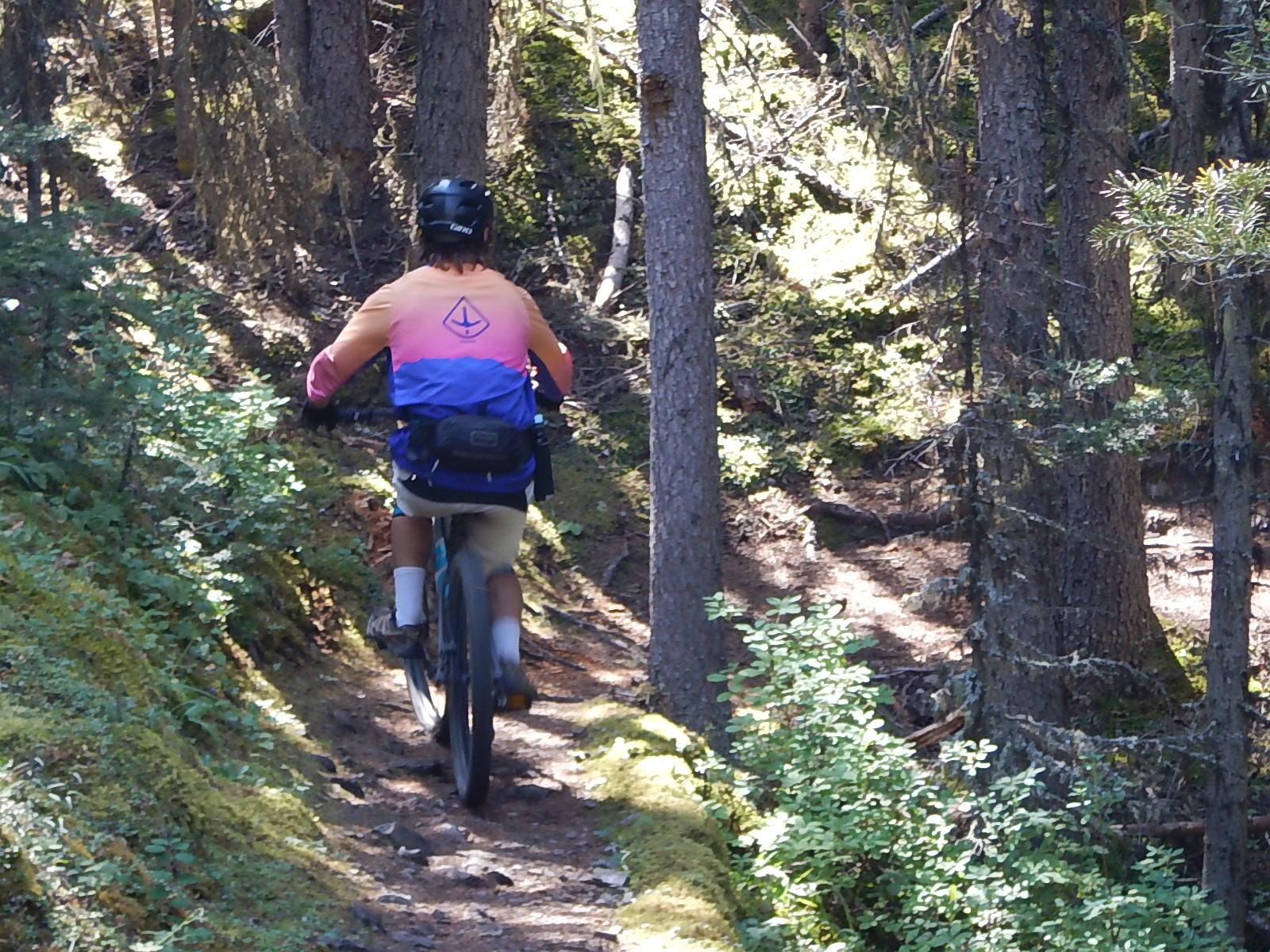 A person riding a mountain bike on a narrow trail through a lush forest, surrounded by tall trees and greenery. The cyclist is wearing a colorful long-sleeve shirt and a helmet, captured from behind as they navigate the pathway. Sunlight filters through the trees, creating a warm, inviting atmosphere. Stoney Squaw Upper & Lower mountain bike trail.
