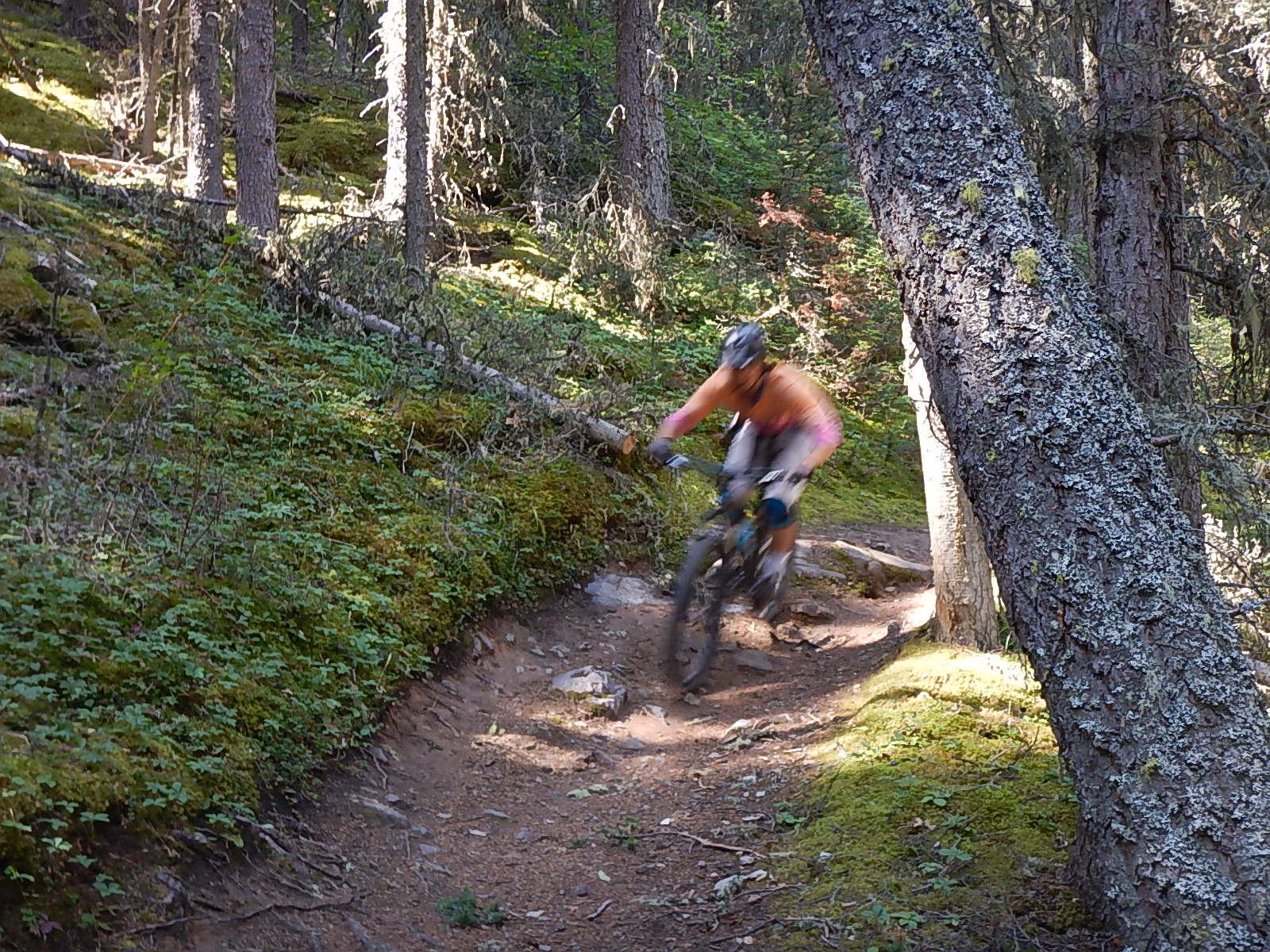 A mountain biker rides along a narrow forest trail, surrounded by tall trees and lush greenery. The biker is in motion, leaning into the turn as they navigate the winding path. Sunlight filters through the trees, creating a dappled lighting effect on the ground. Stoney Squaw Upper & Lower mountain bike trail.