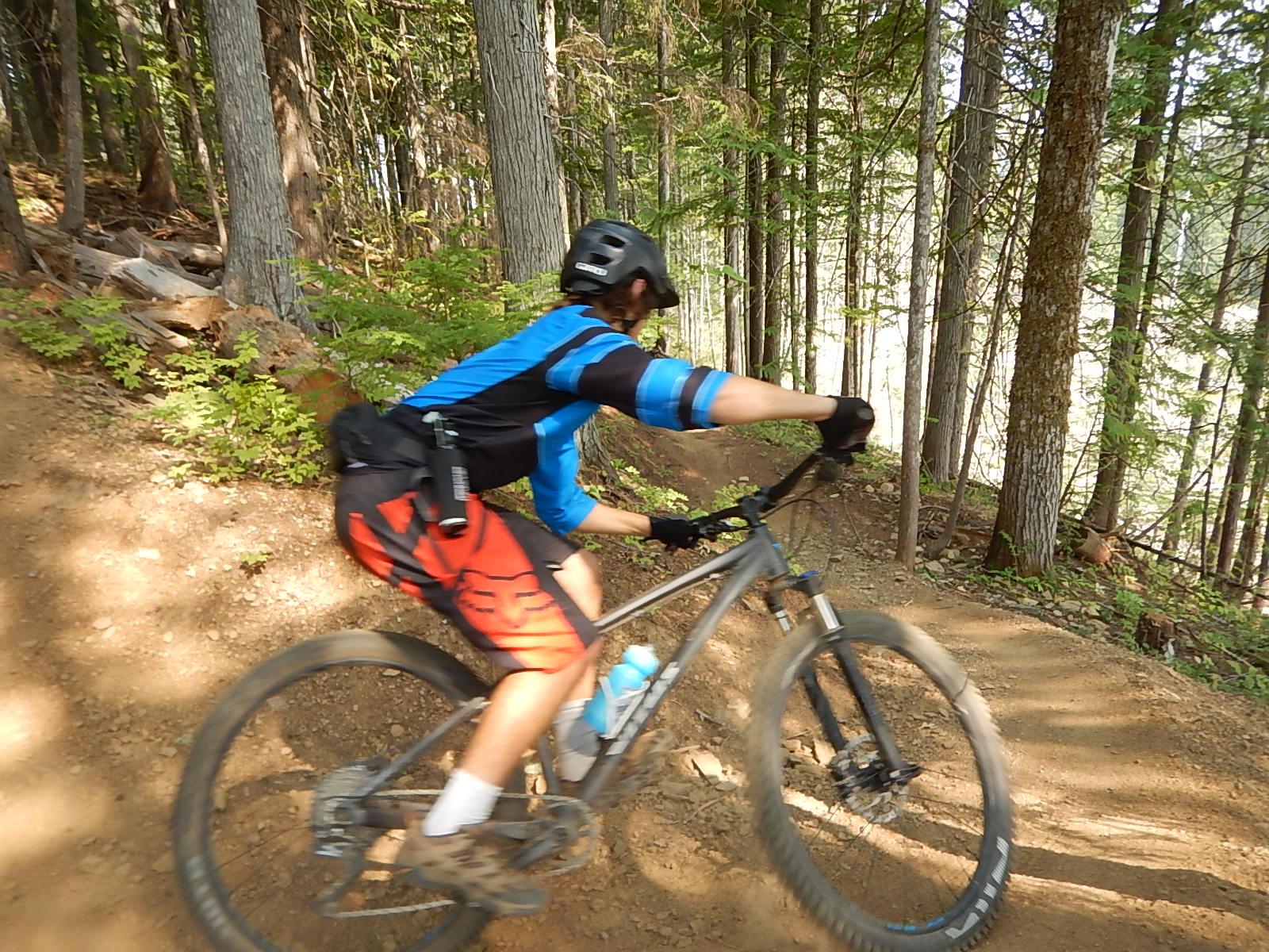 A mountain biker navigates a winding dirt trail through a forested area, wearing a blue and black jersey and red shorts. The cyclist is leaning forward on a silver mountain bike, surrounded by tall trees and greenery. Sunlight filters through the foliage, highlighting the dynamic movement of the rider. Mt. MacPherson mountain bike trail.