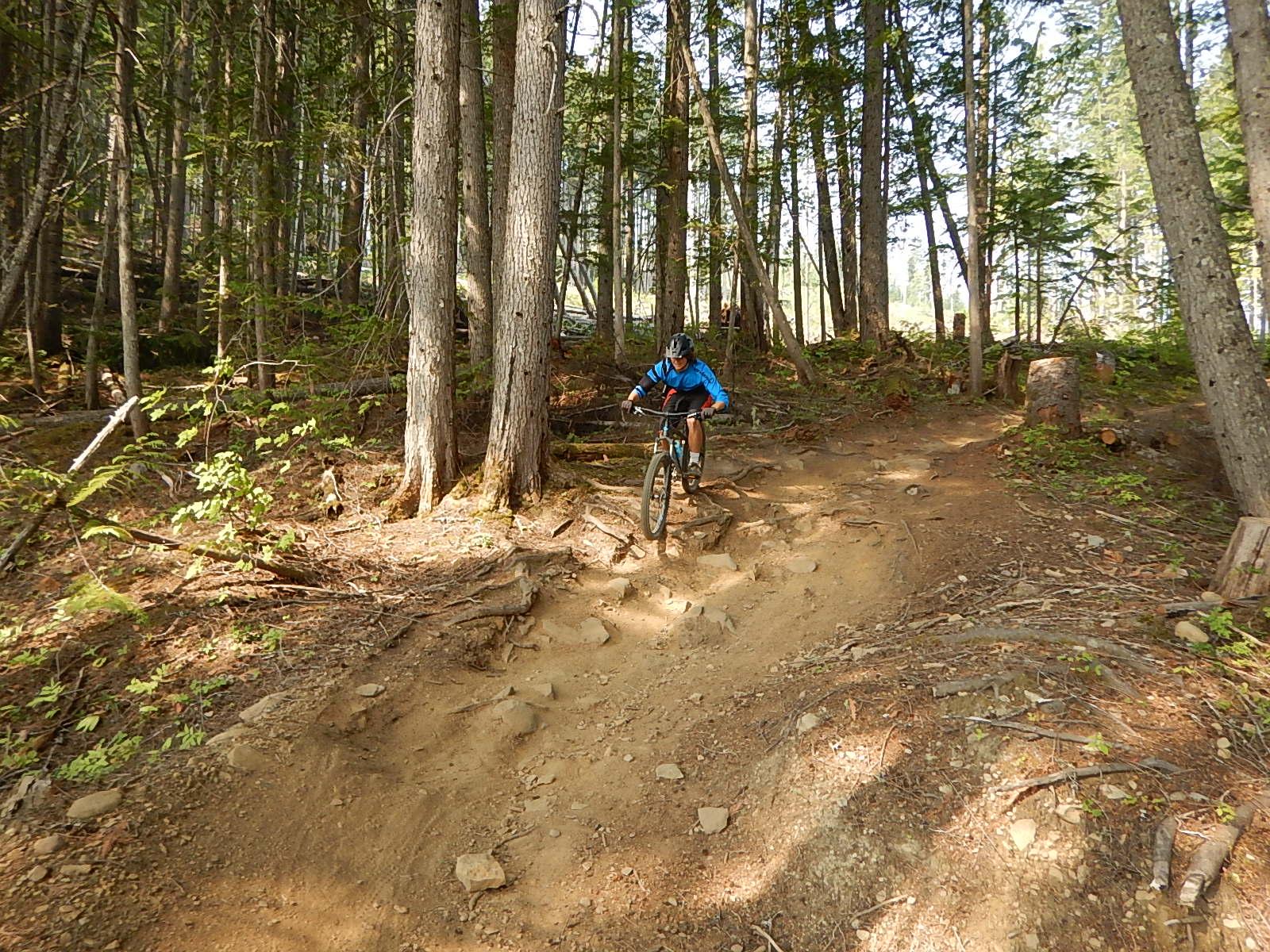 A mountain biker navigates a rugged dirt trail through a dense forest, surrounded by tall trees and scattered rocks. The biker wears a blue jersey and a black helmet, focusing on the terrain as the path slopes downward. Sunlight filters through the trees, illuminating the scenery. Mt. MacPherson mountain bike trail.