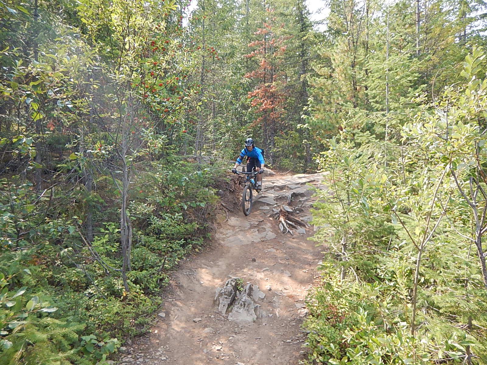 A mountain biker navigates a rocky trail surrounded by dense greenery and trees, showcasing a rugged outdoor environment. Mt. MacPherson mountain bike trail.